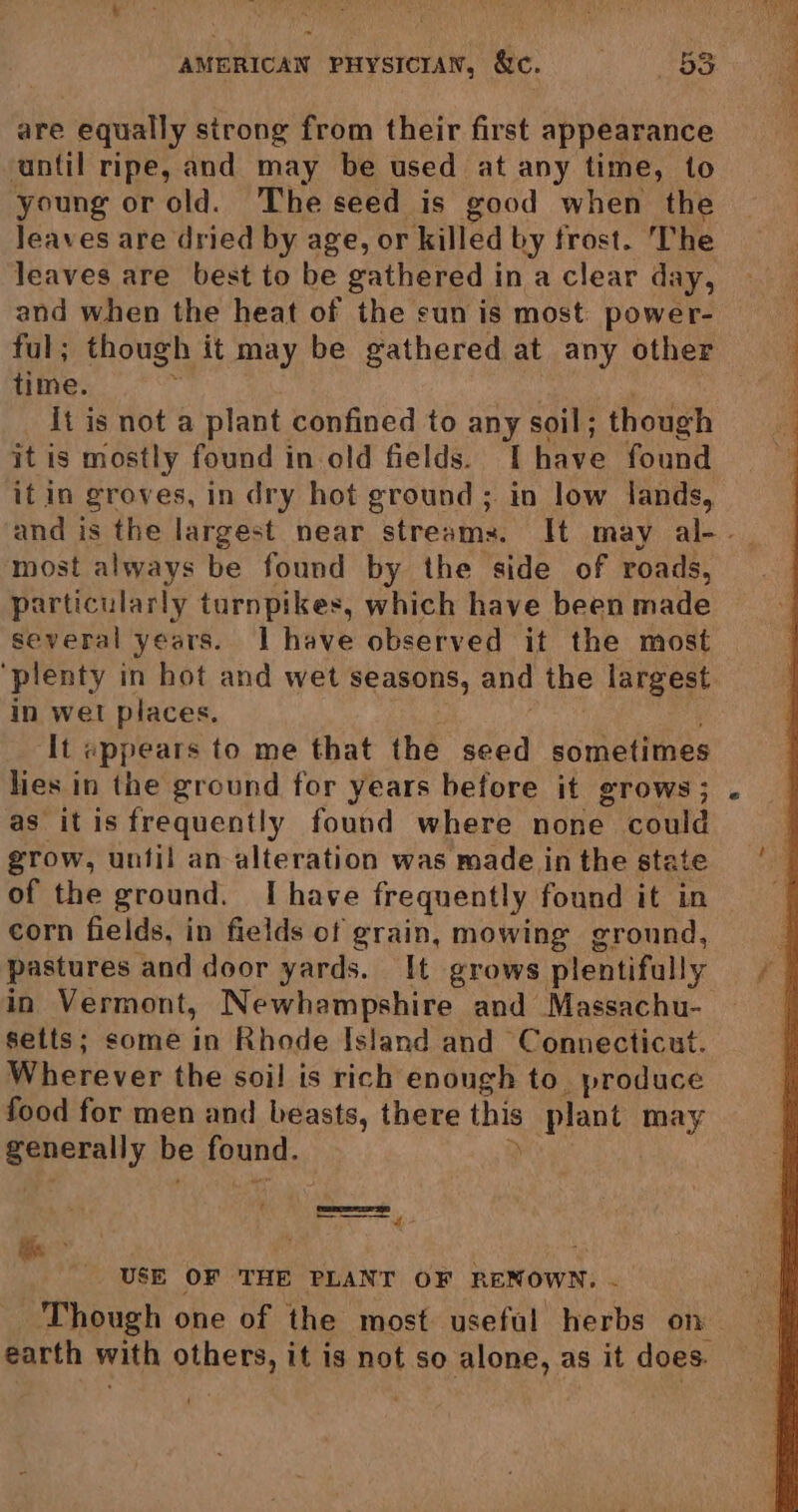 are equally strong from their first appearance until ripe, and may be used at any time, to young or old. The seed is good when the leaves are dried by age, or killed by frost. The leaves are best to be gathered in a clear day, and when the heat of the sun is most: power- time. it is not a plant confined to any soil; though it is mostly found in old fields. I have found it in groves, in dry hot ground ; in low lands, most always be found by the side of roads, particularly turnpikes, which have been made several years. | have observed it the most in wel places. It «appears to me that the seed sometimes lies in the ground for years before it grows; as itis frequently found where none could grow, until an alteration was made in the stat of the ground. I have frequently found it in corn fields, in fields of grain, mowing ground, pastures and door yards. It grows plentifully setts; some in Rhode Island and Connecticut. Wherever the soil is rich enough to. produce food for men and beasts, there this plant may generally be found. ) are bs USE OF THE PLANT OF RENOWN. Though one of the most. usefal HERE on earth with ginets, it is not so alone, as it does.