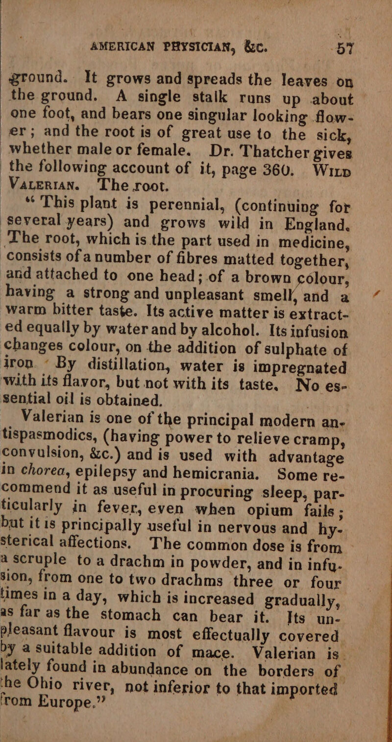 ground. It grows and spreads the leaves on the ground. A single stalk runs up about one foot, and bears one singular looking flow- er; and the root is of great use to the sick, whether male or female. Dr. Thatcher gives the following account of it, page 360. Wry Varerran. The root. “This plant is perennial, (continuing for several years) and grows wild in England, The root, which is the part used in medicine, consists of anumber of fibres matted together, and attached to one head;.of a brown colour, having a strong and unpleasant smell, and a warm bitter taste. Its active matter is extract- ed equally by water and by alcohol. Its infusion changes colour, on the addition of sulphate of iron. « By distillation, water is impregnated with its flavor, but not with its taste. No es- sential oil is obtained. Valerian is one of the principal modern ane tispasmodics, (having power to relieve cramp, convulsion, &amp;c.) and is used with advantage in chorea, epilepsy and hemicrania. Some re- commend it as useful in procuring sleep, par- ticularly in fever, even when opium fails ; but itis principally useful in nervous and hy- sterical affections. The common dose is from ascruple to a drachm in powder, and in infy.- sion, from one to two drachms three or four times in a day, which is increased gradually, as far as the stomach can bear it. Its un. pleasant flavour is most effectually covered by a suitable addition of mace. Valerian is_ lately found in abundance on the borders of -he Ohio river, not inferior to that imported ‘rom Europe.”