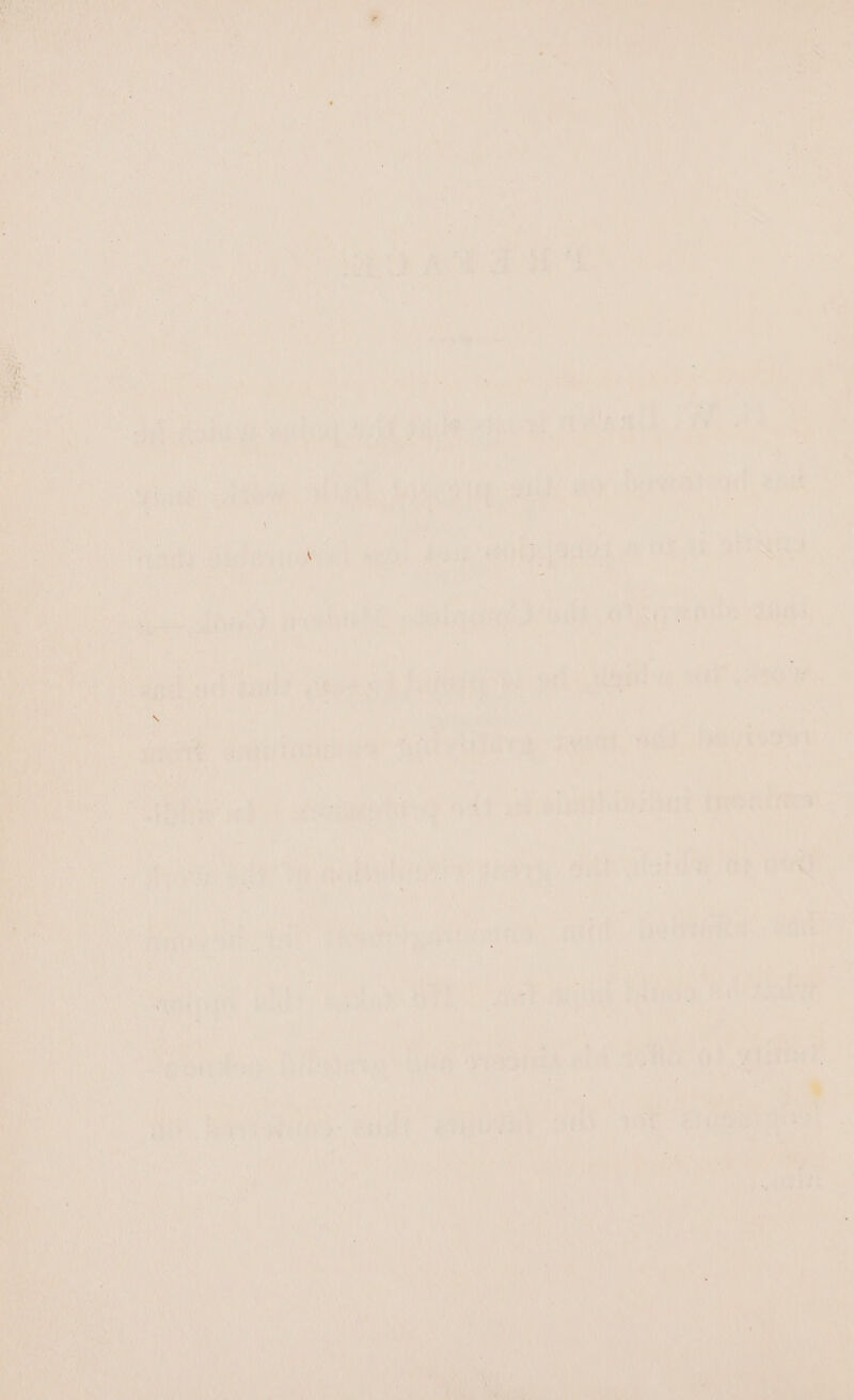 is iNed . vie Bedeiudalng) cae oe aonturht nani oie oe ans Beno} wn 7 igs a i Pa ail igi : a sly a ‘net aid ~ ¥-4