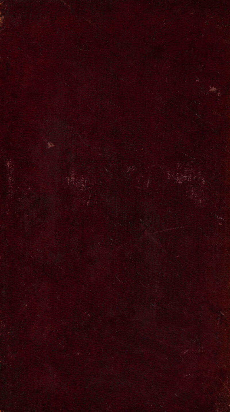 mon Sehwag Shela. “ A < .. hx Wey SM aba va ee ic hep + .