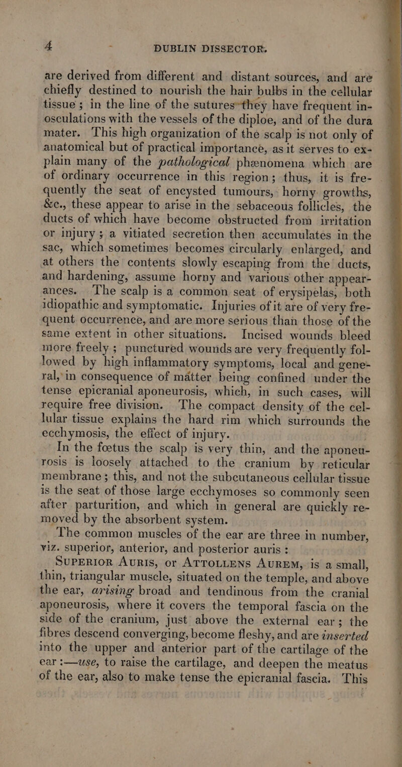 are derived from different and distant sources, and aré chiefly destined to nourish the hair bulbs in the cellular tissue ; in the line of the sutures*they have frequent in- osculations with the vessels of the diploe, and of the dura mater. This high organization of the scalp is not only of anatomical but of practical importance, as it serves to ex- plain many of the pathological phenomena which are quently the seat of encysted tumours, horny growths, &c., these appear to arise in the sebaceous follicles, the ducts of which have become obstructed from irritation or injury ; a yitiated secretion then accumulates in the sac, which sometimes becomes circularly enlarged, and at others the contents slowly escaping from the ducts, and hardening, assume horny and various other appear- ances. The scalp is a common seat of erysipelas, both idiopathic and symptomatic. Injuries of it are of very fre- quent occurrence, and are more serious than those of the same extent in other situations. Incised wounds bleed more freely ; punctured wounds are very frequently fol- lowed by high inflammatory symptoms, local and gene- ral, in consequence of matter being confined under the tense epicranial aponeurosis, which, in such cases, will require free division. The compact density of the cel- lular tissue explains the hard rim which surrounds the ecchymosis, the effect of injury. . In the foetus the scalp is very thin, and the aponeu- rosis is loosely attached to the cranium by reticular membrane}; this, and not the subcutaneous cellular tissue is the seat of those large ecchymoses so commonly seen after parturition, and which in general are quickly re- moved by the absorbent system. The common muscles of the ear are three in number, viz. superior, anterior, and posterior auris : SUPERIOR Auris, or ATTOLLENS AUREM, is a small, thin, triangular muscle, situated on the temple, and above the ear, arising broad and tendinous from the cranial aponeurosis, where it covers the temporal fascia on the side of the cranium, just above the external ear; the fibres descend converging, become fleshy, and are inserted into the upper and anterior part of the cartilage of the ear :—use, to raise the cartilage, and deepen the meatus of the ear, also to make tense the epicranial fascia. This Actgi”? Chips. iit sani ee ae