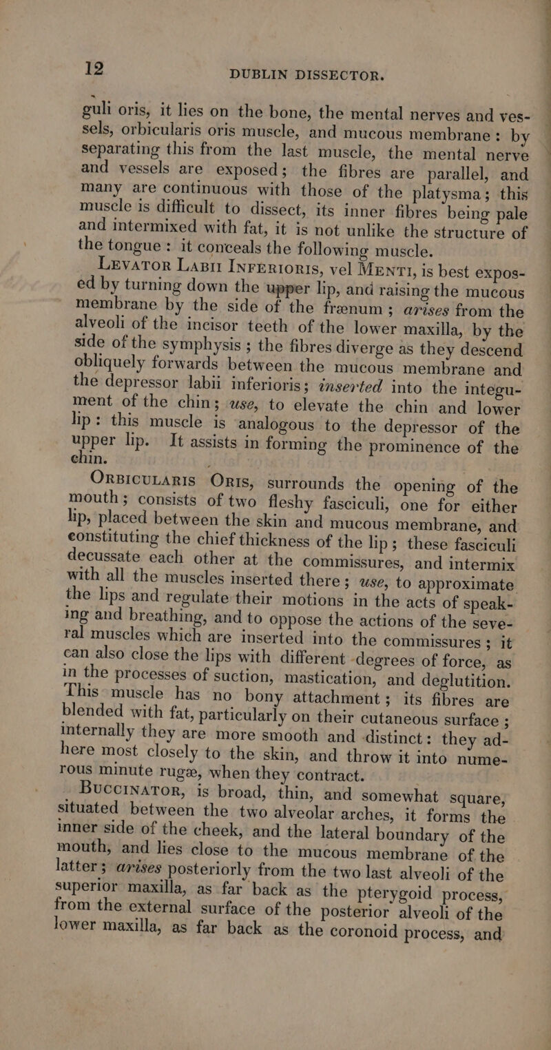 separating this from the last muscle, the mental nerve and vessels are exposed; the fibres are parallel, and many are continuous with those of the platysma; this muscle is difficult to dissect, its inner fibres being pale and intermixed with fat, it is not unlike the structure of the tongue: it conceals the following muscle. Levator Lasi INFERIORIS, vel MENTI, is best expos- ed by turning down the upper lip, and raising the mucous membrane by the side of the frenum ; arises from the alveoli of the incisor teeth of the lower maxilla, by the side of the symphysis ; the fibres diverge as they descend obliquely forwards between the mucous membrane and the depressor labii inferioris; inserted into the integu- ment of the chin; wse, to elevate the chin and lower lip: this muscle is analogous to the depressor of the yee lip. It assists in forming the prominence of the chin. OrsicuLaris Oris, surrounds the opening of the mouth; consists of two fleshy fasciculi, one for either lip, placed between the skin and mucous membrane, and eonstituting the chief thickness of the lip; these fasciculi decussate each other at the commissures, and intermix the lips and regulate their motions in the acts of speak- ing and breathing, and to oppose the actions of the seve- ral muscles which are inserted into the commissures ; it can also close the lips with different ‘degrees of force, as in the processes of suction, mastication, and deglutition. This» muscle has no bony attachment; its fibres are blended with fat, particularly on their cutaneous surface - internally they are more smooth and distinct : they ad- here most closely to the skin, and throw it into nume- rous minute rugs, when they contract. Buccinaror, is broad, thin, and somewhat square, situated between the two alveolar arches, it forms the inner side of the cheek, and the lateral boundary of the mouth, and lies close to the mucous membrane of the latter arises posteriorly from the two last alveoli of the from the external surface of the posterior alveoli of the lower maxilla, as far back as the coronoid process, and