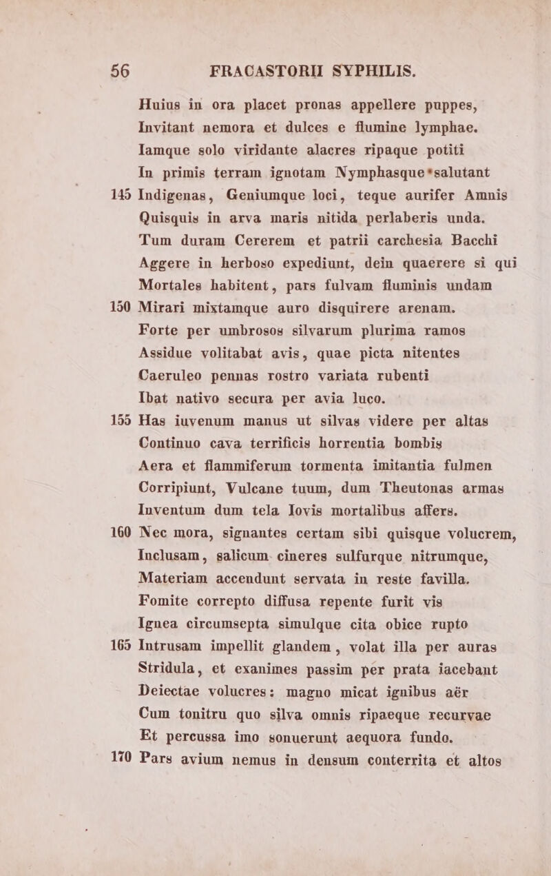 Huius in ora placet pronas appellere puppes, Invitant nemora et dulces e flumine lymphae. Iamque solo viridante alacres ripaque potiti In primis terram ignotam Nymphasque*salutant 149 Indigenas, Geniumque loci, teque aurifer Amnis Quisquis in arva maris nitida perlaberis unda. Tum duram Cererem et patrii carchesia Bacchi Aggere in herboso expediunt, dein quaerere si qui Mortales habitent, pars fulvam fluminis undam 150 Mirari mixtamque auro disquirere arenam. Forte per umbrosos silvarum plurima ramos Assidue volitabat avis, quae picta nitentes Caeruleo pennas rostro variata rubenti Ibat nativo secura per avia luco. 155 Has iuvenum manus ut silvas videre per altas Continuo cava terrificis horrentia bombis Aera et flammiferum tormenta imitantia fulmen Corripiunt, Vulcane tuum, dum Theutonas armas Inventum dum tela lovis mortalibus affers. 160 Nec mora, signantes certam sibi quisque volucrem, Inclusam, salicum. cineres sulfurque nitrumque, Materiam accendunt servata in reste favilla. Fomite correpto diffusa repente furit vis Ignea circumsepta simulque cita obice rupto 165 Intrusam impellit glandem , volat illa per auras Stridula, et exanimes passim per prata iacebant Deiectae volucres: magno micat ignibus aér Cum tonitru quo silva omnis ripaeque recurvae Et percussa imo sonuerunt aequora fundo. l0 Pars avium nemus in densum conterrita et altos