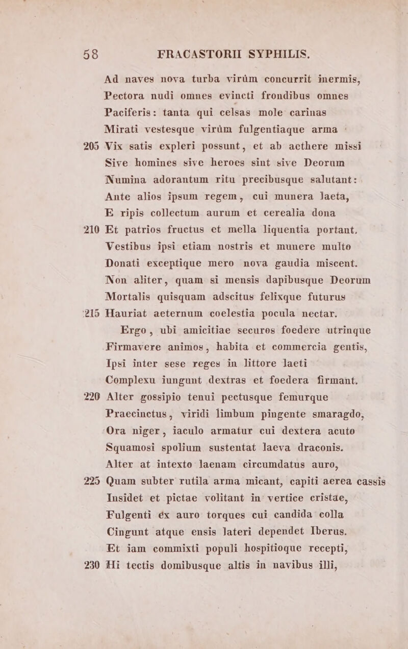 Ad naves nova turba virüm concurrit inermis, Pectora nudi omnes evincti frondibus omnes Paciferis: tanta qui celsas mole: carinas Mirati vestesque virüm fulgentiaque arma : 205 Vix satis expleri possunt, et ab acthere missi Sive homines sive heroes sint sive Deorum Numina adorantum ritu precibusque salutant: Ante alios ipsum regem, cui munera laeta, E ripis collectum aurum et cerealia dona 210 Et patrios fructus ct mella liquentia portant, Vestibus ipsi etiam nostris et munere multo Donati exceptique mero nova gaudia miscent. Non aliter, quam si mensis dapibusque Deorum Mortalis quisquam adscitus felixque futurus ?15 Hauriat aeternum coelestia pocula nectar. Ergo, ubi amicitiae securos foedere utrinque Firmavere animos, habita et commercia gentis, Ipsi inter sese reges in littore laeti Complexu iungunt dextras et foedera firmant. 220 Alter gossipio tenui pectusque femurque Praecinctus, viridi limbum pingente smaragdo, Ora niger, iaculo armatur cui dextera acuto Squamosi spolium sustentat laeva draconis. Alter at intexto laenam circumdatus auro, 225 Quam subter rutila arma micant, capiti aerea cassis Insidet et pictae volitant in: vertice cristae, Fulgenti éx auro torques cui candida colla Cingunt atque ensis lateri dependet Iberus. Et iam commixti populi hospitioque recepti, 230 Hi tectis domibusque altis in navibus illi,