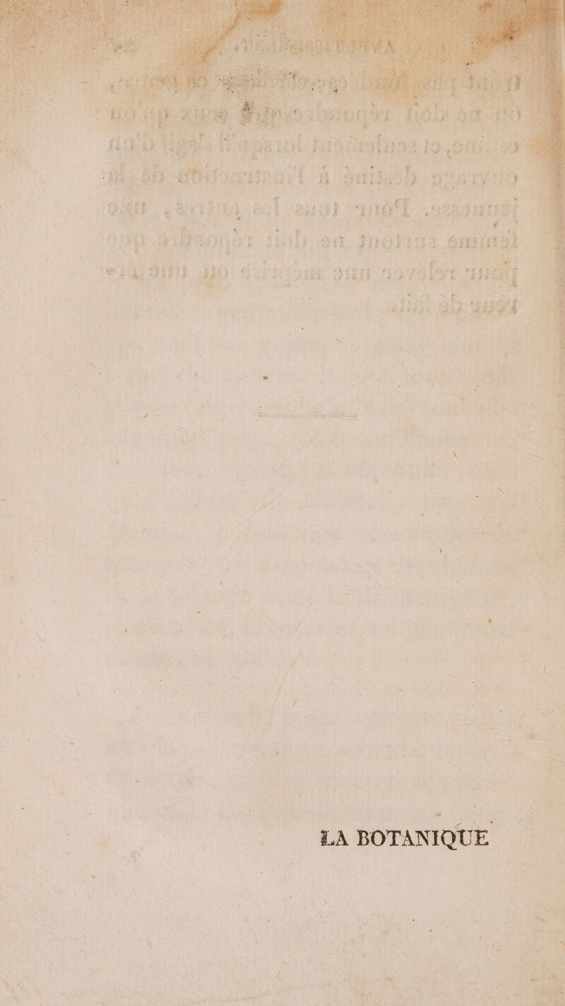71 Dr: RTE mn GLS JHoFE. st sé “ot 39 14 1 150 j | : é . = LE d Le 2 &gt; + e E A « z èl # PF SZ ; LE PAT PRE RSS SES 1 + La 4 4 Re ; 1 + Ü à À 4 ñ dt us É . &amp; » \ | + rl ; ps e 5 7 F (l ë \ à | { 4 &amp; Th RES D 4 Ras Ÿ hüb ——-# ? PE: : “ ER 1e ù : # Ps 4 TS HEC + : 4 ep! ” , 07. Re s ni Le EUR # % . S te Ë F à à \ ce | are : Pan ASIE PERS | | LA BOTANIQUE _ ’ _. Ésih - - Le TT + e ï Ys \ ; *: À “ ne L 4 Lx ; ME | pa  k + | k, e En ï pre à de : , l bn ans ù A ON . Li à, # { &amp; | is ME ÿ ë e rx : 0 the nr, D'Ur SJ ÿ LL de, Re * LA He La À + NX NP NE Le AL. EU 2