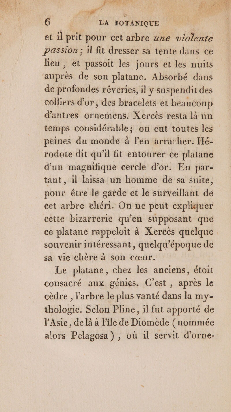 FT SANTE se : sl Ed a 6 LA BOTANIQUE | et il prit pour cet arbre zre violente passion ; il fit dresser sa tente dans ce lieu, et passoit les jours et les nuits auprès de son platane. Absorbé dans de profondes rêveries, il y suspendit des colliers d’or, des bracelets et beaucoup d’autres ornemens. Xercès resta là un temps considérable; on eut toutes les peines du monde à l'en arracher. Hé- rodote dit qu'il fit entourer ce platane d’un magnifique cercle d’or. En par- tant, il laissa un homme de sa suite, pour être le garde et le surveillant de cet arbre chéri. On ne peut expliquer cette bizarrerie qu’en supposant que ce platane rappeloit à Xercès quelque souvenir intéressant, quelqu’époque de sa vie chère à son cœur. Le platane, chez les anciens, étoit consacré aux gémies. C'est , apres le cèdre , l'arbre le plus vanté dans la my- thologie. Selon Pline, 1l fut apporté de Asie, de là à l’ile de Diomede {nommée alors Pelagosa) , où 1l servit d’orne-