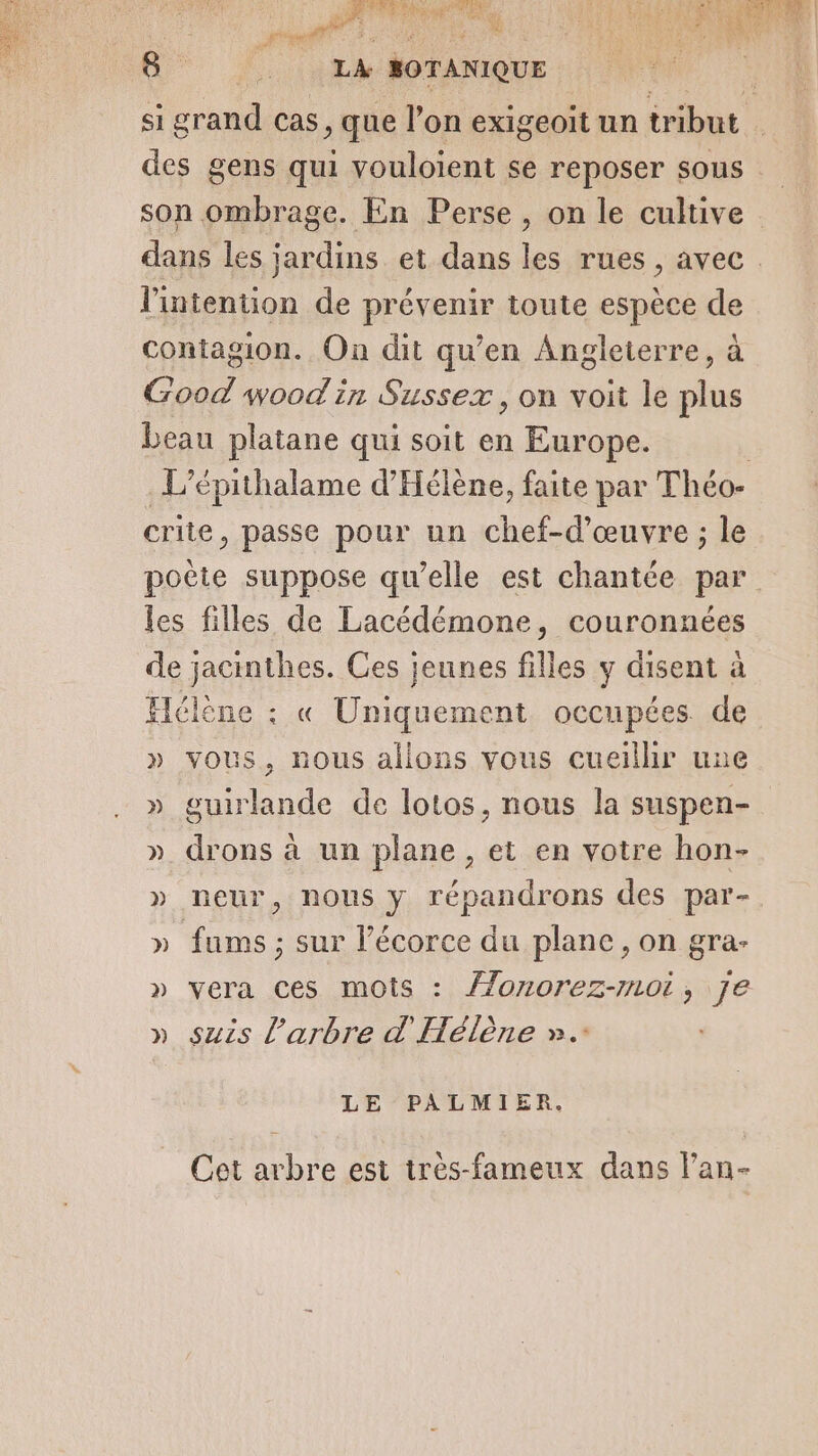 Éd MAP Ca DE SAME af 8 LA BOTANIQUE l'intention de prévenir toute espèce de contagion. On dit qu’en Angleterre, à Good woodin Sussex, on voit le As beau platane qui soit en Europe. crite, passe pour un chef-d'œuvre ; le les filles de Lacédémone, couronnées de JAURURES. Ces jeunes filles y disent à Hélène : « ces occupées de » vous, nous allons vous cueillir une » guirlande de lotos, nous la suspen- » drons à un plane, et en votre hon- » neur, nous y répandrons des par- » fums ; sur l'écorce du plane, on gra- » vera ces mois : FAReReRTAts Fe » suis l'arbre d'Hélène ». LE PALMIER. Cet arbre est trèes-fameux dans lan-