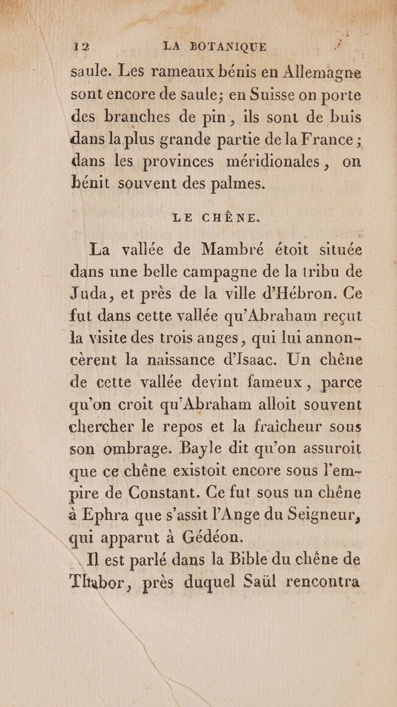 saule. Les rameaux bénis en Allemagne sont encore de saule; en Suisse on porte des branches de pin, ils sont de buis dans les provinces méridionales, on Rénit souvent des palmes. LE CHÊNE. La vallée de Mambré étoit située dans une belle campagne de la tribu de Juda, et pres de la ville d'Hébron. Ce fut dans cette vallée qu’Abraham reçut cérent la naissance d’Isaac. Un chêne de cette vallée devint fameux, parce qu’on croit qu'Abraham alloit souvent chercher le repos et la fraicheur sous son ombrage. Bayle dit qu’on assuroit que ce chêne existoit encore sous l’em- pire de Constant. Ce fut sous un chêne à Ephra que s’assit l'Ange du Seigneur, . Il est parlé dans la Bible du chêne de Thabor, près duquel Saül rencontra