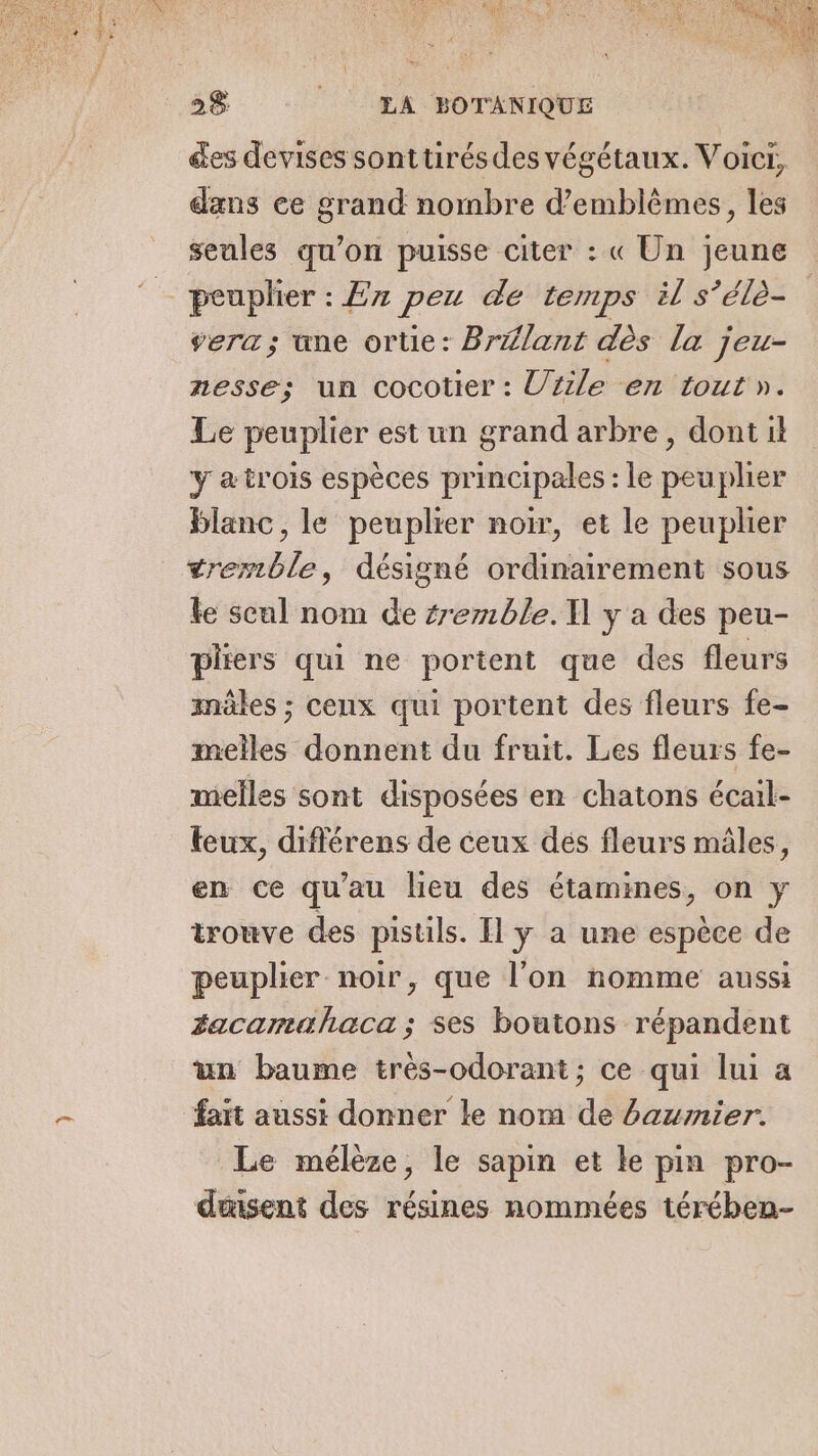 des devises sonttirés des végétaux. Voict, dans ce grand nombre d’emblêmes, les seules qu'on puisse citer : « Un jeune peuplier : En peu de temps il s’élè- sera; une ortie: Brélant dès la jeu- nesse; un cocotier : Uzile en tout». Le peuplier est un grand arbre, dont it y ætrois espèces principales : le peuplier blanc, le peuplier noir, et le peuplier tremble, désigné ordinairement sous le scul nom de semble. I y a des peu- pliers qui ne portent que des fleurs mèles ; ceux qui portent des fleurs fe- melles donnent du fruit. Les fleurs fe- melles sont disposées en chatons écail- eux, différens de ceux dés fleurs mâles, en ce qu'au lieu des étamines, on y trouve des pistils. Il y a une espèce de peuplier noir, que l’on nomme aussi facamahaca ; ses boutons répandent un baume très-odorant; ce qui lui a faït aussi donner le nom de baumier. Le mélèze, le sapin et le pin pro- disent des résines nommées térében-