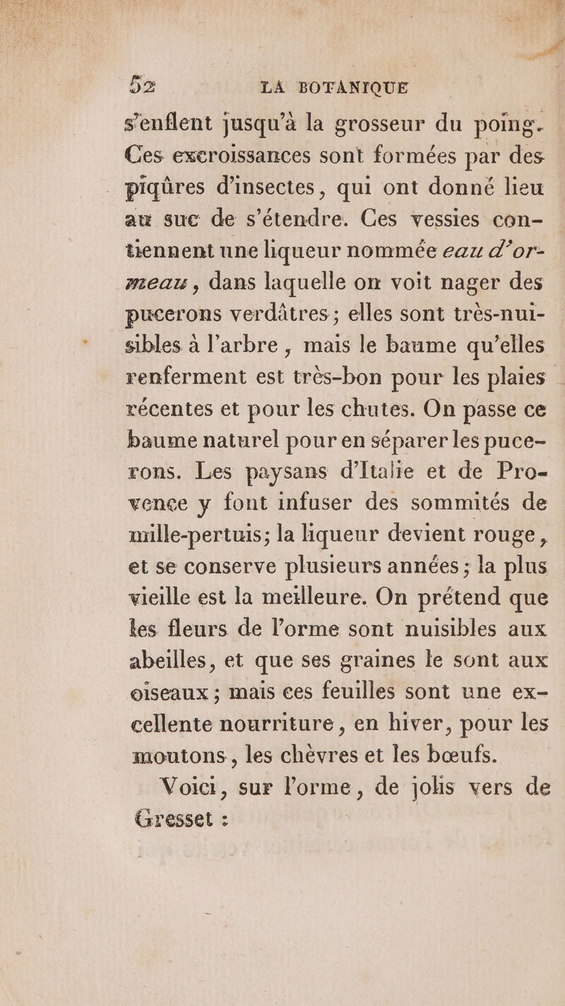 s’enflent jusqu’à la grosseur du poing. Ces excroissances sont formées par des piqûres d'insectes, qui ont donné lieu au suc de s'étendre. Ces vessies con- tiennent une liqueur nommée eaz d’or- meau , dans laquelle on voit nager des pucerons verdätres ; elles sont très-nui- sibles à l'arbre , mais le baume qu’elles renferment est très-bon pour les plaies récentes et pour les chutes. On passe ce baume naturel pour en séparer les puce- rons. Les paysans d'Italie et de Pro- vence y font infuser des sommités de mille-pertuis; la liqueur devient rouge, et se conserve plusieurs années ; la plus vieille est la meïlleure. On prétend que les fleurs de l’orme sont nuisibles aux abeilles, et que ses graines le sont aux oiseaux ; mais ces feuilles sont une ex- cellente nourriture, en hiver, pour les moutons, les chèvres et les bœufs. Voici, sur lorme , de johs vers de Gresset :