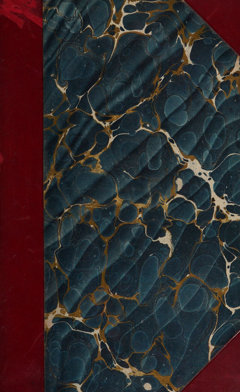 No text description is available for this image