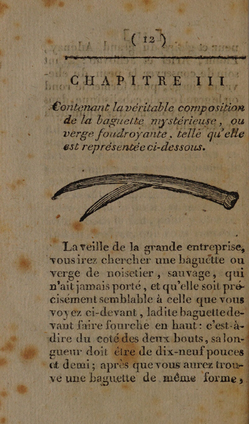 Le ‘de la baguette my stérieuse, Ou verge foudroyante, lellé | qu elle esl représentée ci-dessous. 5 La veille de] la grande entreprise, vousirez chercher une baguétte ou verge de noisetier, sauvage , qui n'ait jamais porté, et qu elle &amp; soil pré- cisément semblable à celle que vous voyez ci-devant, ladite baguettede- vant fure four os en haut: c’est-à- “dire du cc des deux bouts, ga : de dix-neuf pouces que vous aurez trot | ga