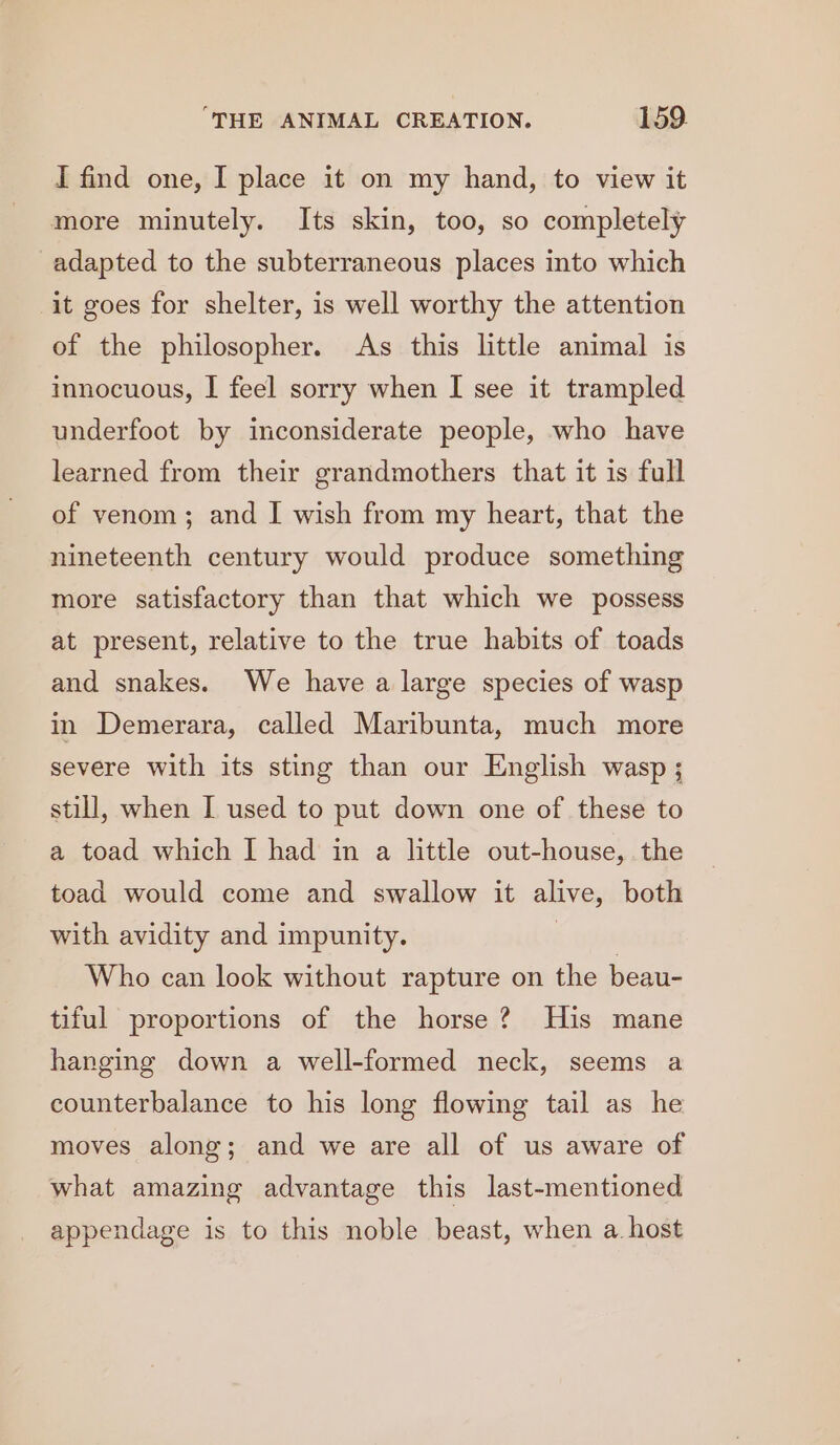 I find one, I place it on my hand, to view it more minutely. Its skin, too, so completely adapted to the subterraneous places into which it goes for shelter, is well worthy the attention of the philosopher. As this little animal is innocuous, | feel sorry when I see it trampled underfoot by inconsiderate people, who have learned from their grandmothers that it is full of venom; and I wish from my heart, that the nineteenth century would produce something more satisfactory than that which we possess at present, relative to the true habits of toads and snakes. We have a large species of wasp in Demerara, called Maribunta, much more severe with its sting than our English wasp ; still, when I used to put down one of these to a toad which I had in a little out-house, the toad would come and swallow it alive, both with avidity and impunity. &lt; tye Who can look without rapture on the beau- tiful proportions of the horse? His mane hanging down a well-formed neck, seems a counterbalance to his long flowing tail as he moves along; and we are all of us aware of what amazing advantage this last-mentioned appendage is to this noble beast, when a. host