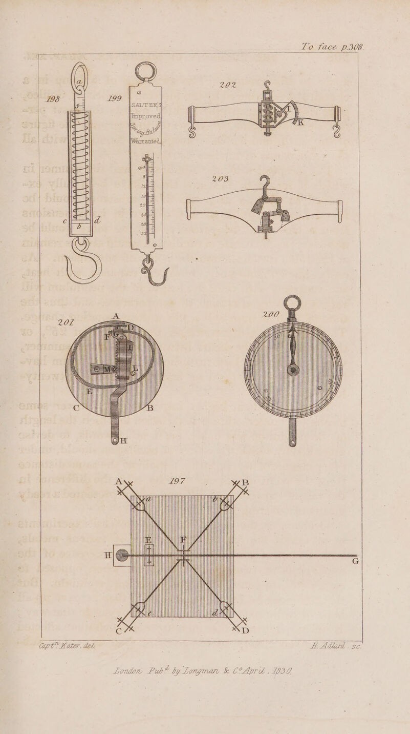 To face p.306. xz anh j z 7 sy sd lipt” Kater, dei. ‘ H, Adlard . 5c London Pubt by Longman &amp; C°Apré , B30