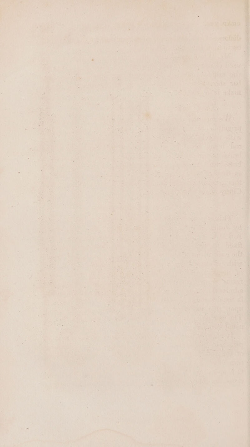 : et | - = a5! a . Se ie ad : —- 7 i a