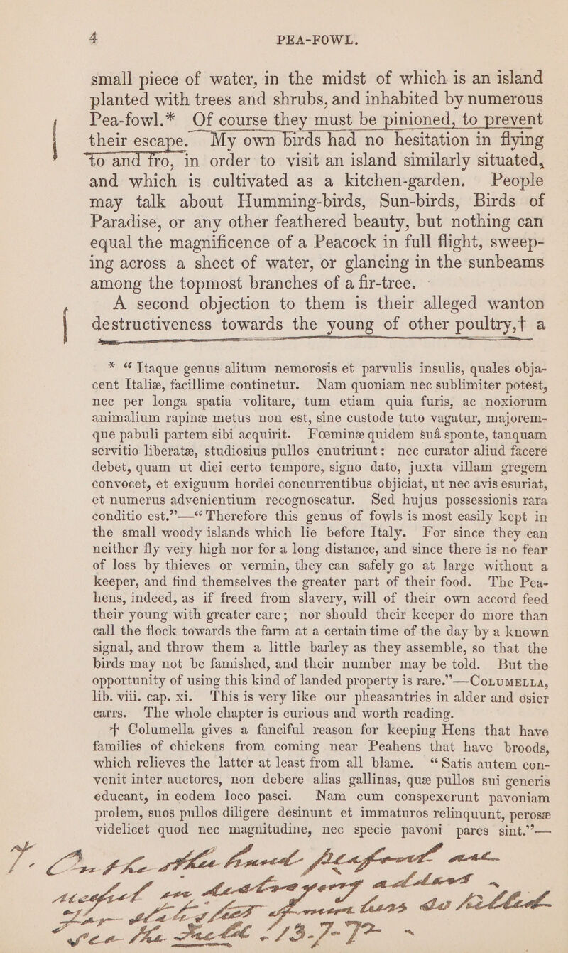 small piece of water, in the midst of which is an island planted with trees and shrubs, and inhabited by numerous Pea-fowl.* Of course they must be pinioned, to prevent | their escape. My own birds had no hesitation in flying to and fro, in order to visit an island similarly situated, and which is cultivated as a kitchen-garden. People may talk about Humming-birds, Sun-birds, Birds of Paradise, or any other feathered beauty, but nothing can equal the magnificence of a Peacock in full flight, sweep- ing across a sheet of water, or glancing in the sunbeams among the topmost branches of a fir-tree. A second objection to them is their alleged wanton destructiveness towards the young of other poultry,t a 4 seit anne ELSI * © Ttaque genus alitum nemorosis et parvulis insulis, quales obja- cent Italie, facillime continetur. Nam quoniam nec sublimiter potest, nec per longa spatia volitare, tum etiam quia furis, ac noxiorum animalium rapine metus non est, sine custode tuto vagatur, majorem- que pabuli partem sibi acquirit. Foemine quidem sua sponte, tanquam servitio liberate, studiosius pullos enutriunt: nec curator aliud facere debet, quam ut diei certo tempore, signo dato, juxta villam gregem convocet, et exiguum hordei concurrentibus objiciat, ut nec avis esuriat, et numerus advenientium recognoscatur. Sed hujus possessionis rara conditio est.” —“ Therefore this genus of fowls is most easily kept in the small woody islands which lie before Italy. For since they can neither fly very high nor for a long distance, and since there is no fear of loss by thieves or vermin, they can safely go at large without a keeper, and find themselves the greater part of their food. The Pea- hens, indeed, as if freed from slavery, will of their own accord feed their young with greater care; nor should their keeper do more than eall the flock towards the farm at a certain time of the day by a known signal, and throw them a little barley as they assemble, so that the birds may not be famished, and their number may be told. But the opportunity of using this kind of landed property is rare.’—CoLumEzta, lib. viii. cap. xi. This is very like our pheasantries in alder and osier carrs. The whole chapter is curious and worth reading. + Columella gives a fanciful reason for keeping Hens that have families of chickens from coming near Peahens that have broods, which relieves the latter at least from all blame. ‘Satis autem con- venit inter auctores, non debere alias gallinas, que pullos sui generis educant, in eodem loco pascii Nam cum conspexerunt pavoniam prolem, suos pullos diligere desinunt et immaturos relinquunt, perose videlicet quod nec magnitudine, nec specie pavoni pares sint.”’—