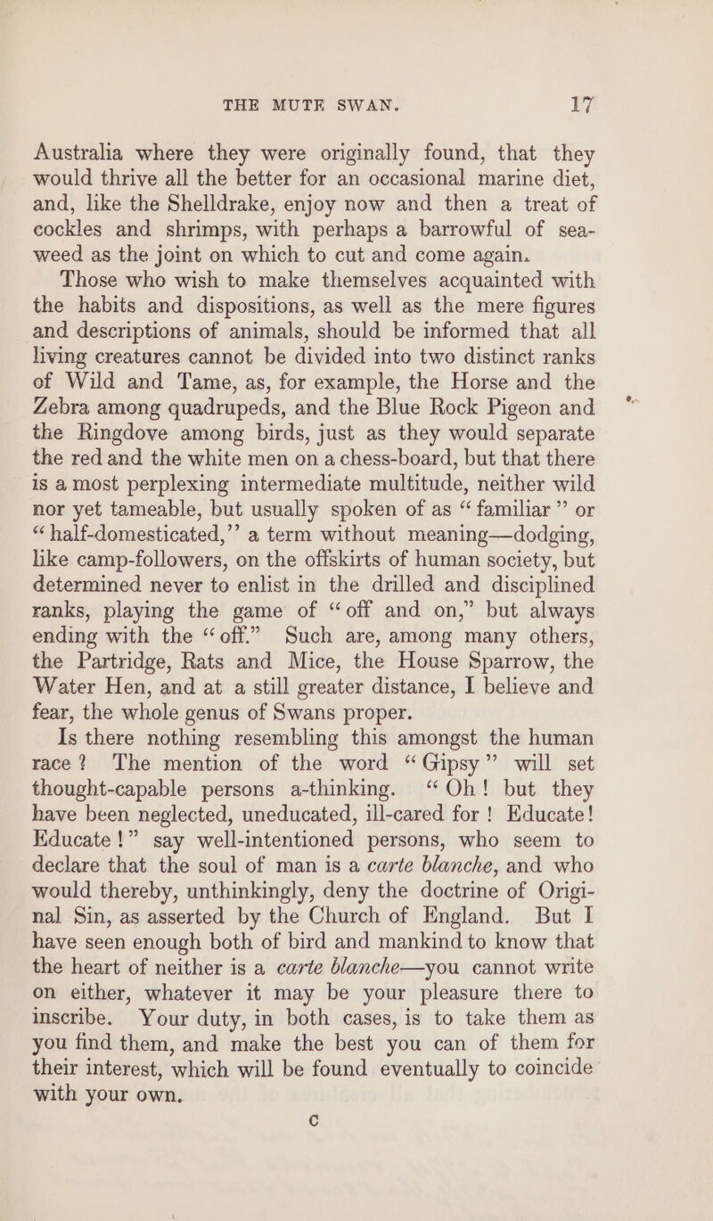 Australia where they were originally found, that they would thrive all the better for an occasional marine diet, and, like the Shelldrake, enjoy now and then a treat of cockles and shrimps, with perhaps a barrowful of sea- weed as the joint on which to cut and come again. Those who wish to make themselves acquainted with the habits and dispositions, as well as the mere figures and descriptions of animals, should be informed that all living creatures cannot be divided into two distinct ranks of Wild and Tame, as, for example, the Horse and the Zebra among quadrupeds, and the Blue Rock Pigeon and the Ringdove among birds, just as they would separate the red and the white men on a chess-board, but that there is a most perplexing intermediate multitude, neither wild nor yet tameable, but usually spoken of as “ familiar ” or “ half-domesticated,’’ a term without meaning—dodging, like camp-followers, on the offskirts of human society, but determined never to enlist in the drilled and disciplined ranks, playing the game of “off and on,” but always ending with the “off.” Such are, among many others, the Partridge, Rats and Mice, the House Sparrow, the Water Hen, and at a still greater distance, I believe and fear, the whole genus of Swans proper. Is there nothing resembling this amongst the human race? The mention of the word “Gipsy” will set thought-capable persons a-thinking. ‘Oh! but they have been neglected, uneducated, ill-cared for! Educate! Kducate!” say well-intentioned persons, who seem to declare that the soul of man is a carte blanche, and who would thereby, unthinkingly, deny the doctrine of Origi- nal Sin, as asserted by the Church of England. But I have seen enough both of bird and mankind to know that the heart of neither is a carte blanche—you cannot write on either, whatever it may be your pleasure there to iscribe. Your duty, in both cases, is to take them as you find them, and make the best you can of them for their interest, which will be found eventually to coincide’ with your own. c