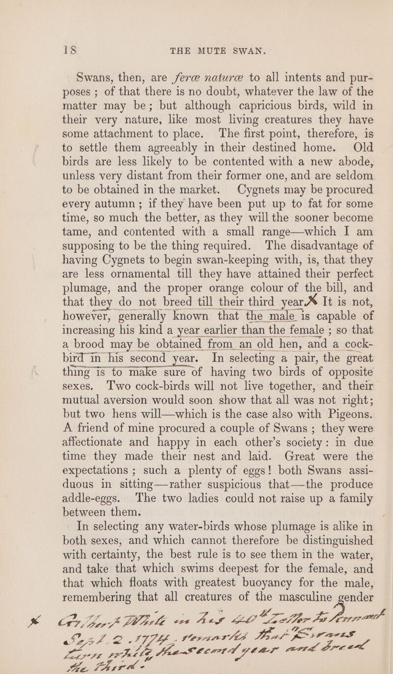 Swans, then, are ferce naturce to all intents and pur- poses ; of that there is no doubt, whatever the law of the matter may be; but although capricious birds, wild in their very nature, like most living creatures they have some attachment to place. The first point, therefore, is to settle them agreeably in their destined home. Old birds are less likely to be contented with a new abode, unless very distant from their former one, and are seldom to be obtained in the market. Cygnets may be procured every autumn ; if they have been put up to fat for some time, so much the better, as they will the sooner become tame, and contented with a small range—which I am supposing to be the thing required. The disadvantage of having Cygnets to begin swan-keeping with, is, that they are less ornamental till they have attained their perfect plumage, and the proper orange colour of the bill, and that they do not breed till their third year.% It is not, however, generally known that the male is capable of increasing his kind a year earlier than the female ; so that a brood may be obtained from an old hen, and a cock- bird in his second year. In selecting a pair, the great thing toa Oe having two birds of opposite sexes. Two cock-birds will not live together, and their mutual aversion would soon show that all was not right; but two hens will—which is the case also with Pigeons. A friend of mine procured a couple of Swans ; they were affectionate and happy in each other’s society: in due time they made their nest and laid. Great were the expectations ; such a plenty of eggs! both Swans assi- duous in sittmg—rather suspicious that—the produce addle-eggs. The two ladies could not raise up a family between them. In selecting any water-birds whose plumage is alike in both sexes, and which cannot therefore be distinguished with certainty, the best rule is to see them in the water, and take that which swims deepest for the female, and that which floats with greatest buoyancy for the male, remembering that all creatures of the masculine gender a rs o secaes y -“ : 5 cad an Fs y? &lt;n d x Orr Beoe™ Lbasle ern Aas kh? ua eifer Al Long pete ; 4 FS aa esl. 2 NTI, Vernarlis bf GE v0 a0 pee Lea Ll Fit 8b Crt oer ert BFC vtai le a Das » 4 re a -