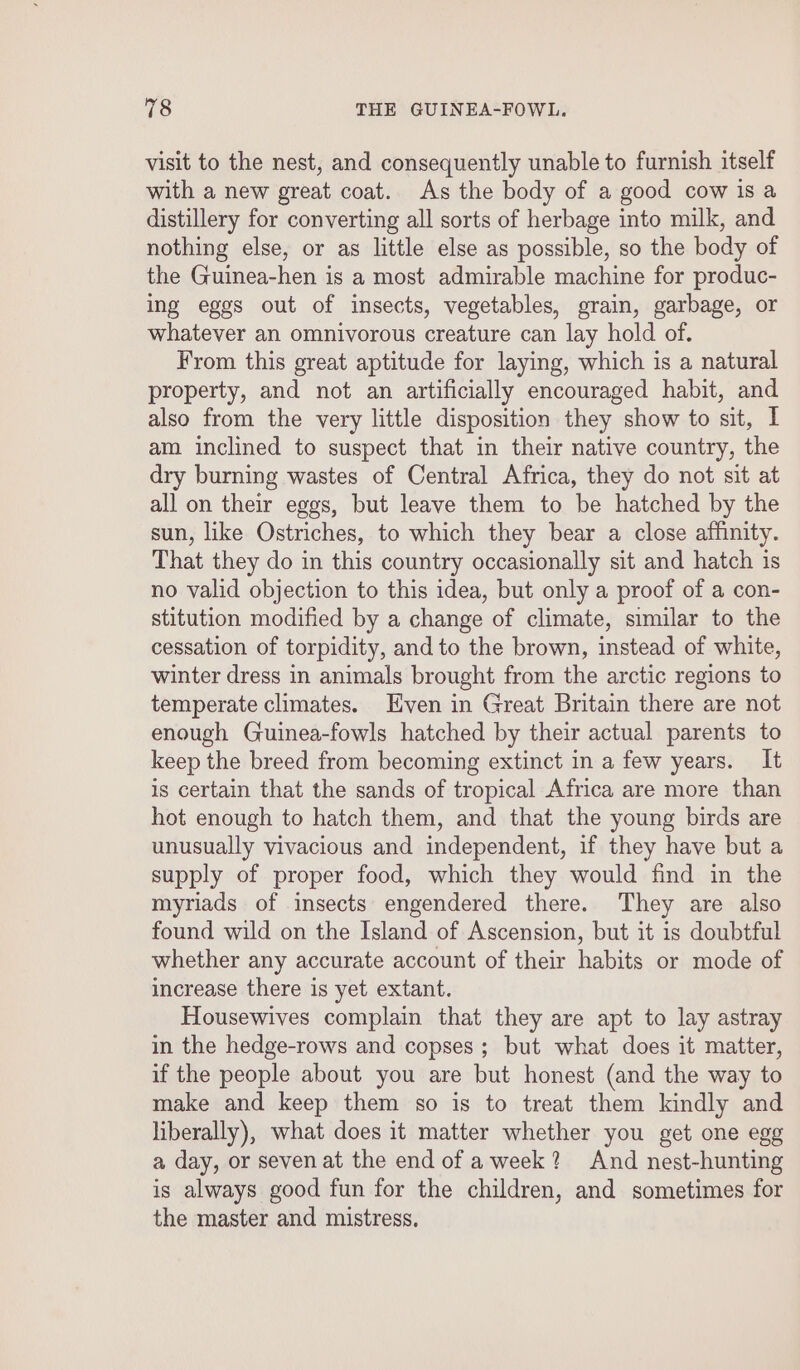 visit to the nest, and consequently unable to furnish itself with a new great coat. As the body of a good cow isa distillery for converting all sorts of herbage into milk, and nothing else, or as little else as possible, so the body of the Guinea-hen is a most admirable machine for produc- ing eggs out of insects, vegetables, grain, garbage, or whatever an omnivorous creature can lay hold of. From this great aptitude for laying, which is a natural property, and not an artificially encouraged habit, and also from the very little disposition they show to sit, I am inclined to suspect that in their native country, the dry burning wastes of Central Africa, they do not sit at all on their eggs, but leave them to be hatched by the sun, like Ostriches, to which they bear a close affinity. That they do in this country occasionally sit and hatch is no valid objection to this idea, but only a proof of a con- stitution modified by a change of climate, similar to the cessation of torpidity, and to the brown, instead of white, winter dress in animals brought from the arctic regions to temperate climates. Hven in Great Britain there are not enough Guinea-fowls hatched by their actual parents to keep the breed from becoming extinct in a few years. It is certain that the sands of tropical Africa are more than hot enough to hatch them, and that the young birds are unusually vivacious and independent, if they have but a supply of proper food, which they would find in the myriads of insects engendered there. They are also found wild on the Island of Ascension, but it is doubtful whether any accurate account of their habits or mode of increase there is yet extant. Housewives complain that they are apt to lay astray in the hedge-rows and copses; but what does it matter, if the people about you are but honest (and the way to make and keep them so is to treat them kindly and liberally), what does it matter whether you get one egg a day, or seven at the end of aweek? And nest-hunting is always good fun for the children, and sometimes for the master and mistress.