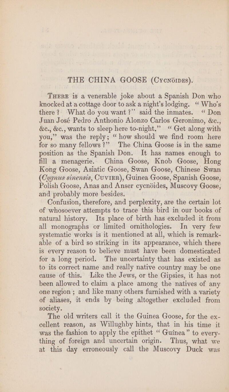 THE CHINA GOOSE (Cycnorpzs). THERE is a venerable joke about a Spanish Don who knocked at a cottage door to ask a night’s lodging. “ Who’s there? What do you want?” said the inmates. “ Don Juan José Pedro Anthonio Alonzo Carlos Geronimo, &amp;c., &amp;c., &amp;c., wants to sleep here to-night.” “ Get along with you,”’ was the reply; “ how should we find room here for so many fellows?” The China Goose is in the same position as the Spanish Don. It has names enough to fill a menagerie. China Goose, Knob Goose, Hong Kong Goose, Asiatic Goose, Swan Goose, Chinese Swan (Cygnus sinensis, CuviER), Guinea Goose, Spanish Goose, Polish Goose, Anas and Anser cycnoides, Muscovy Goose, and probably more besides. Confusion, therefore, and perplexity, are the certain lot of whosoever attempts to trace this bird in our books of natural history. Its place of birth has excluded it from all monographs or limited ornithologies. In very few systematic works is it mentioned at all, which is remark- able of a bird so striking in its appearance, which there is every reason to believe must have been domesticated for a long period. The uncertainty that has existed as to its correct name and really native country may be one cause of this. Like the Jews, or the Gipsies, it has not been allowed to claim a place among the natives of any one region ; and like many others furnished with a variety of aliases, it ends by being altogether excluded from society. The old writers call it the Guinea Goose, for the ex- cellent reason, as Willughby hints, that in his time it was the fashion to apply the epithet “ Guinea” to every- thing of foreign and uncertain origin. Thus, what we at this day erroneously call the Muscovy Duck was