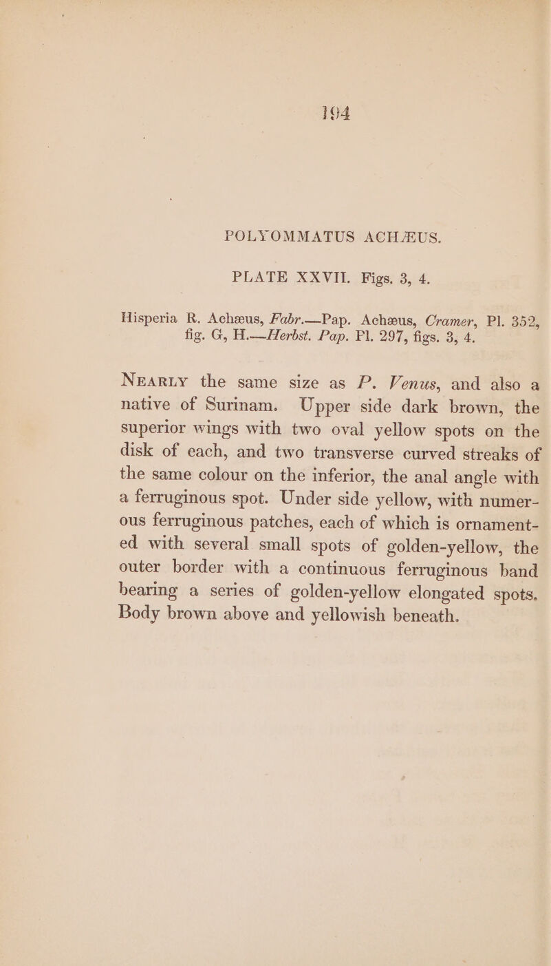 PLATE XXVIL. Figs. 3, 4. Hisperia R. Achweus, Fabr.—Pap. Acheus, Cramer, Pl. 352, fig. G, H.—Herbst. Pap. Fl. 297, figs. 3, 4. Neary the same size as P. Venus, and also a native of Surinam. Upper side dark brown, the superior wings with two oval yellow spots on the disk of each, and two transverse curved streaks of the same colour on the inferior, the anal angle with a ferruginous spot. Under side yellow, with numer- ous ferruginous patches, each of which is ornament- ed with several small spots of golden-yellow, the outer border with a continuous ferruginous band bearing a series of golden-yellow elongated spots. Body brown above and yellowish beneath.