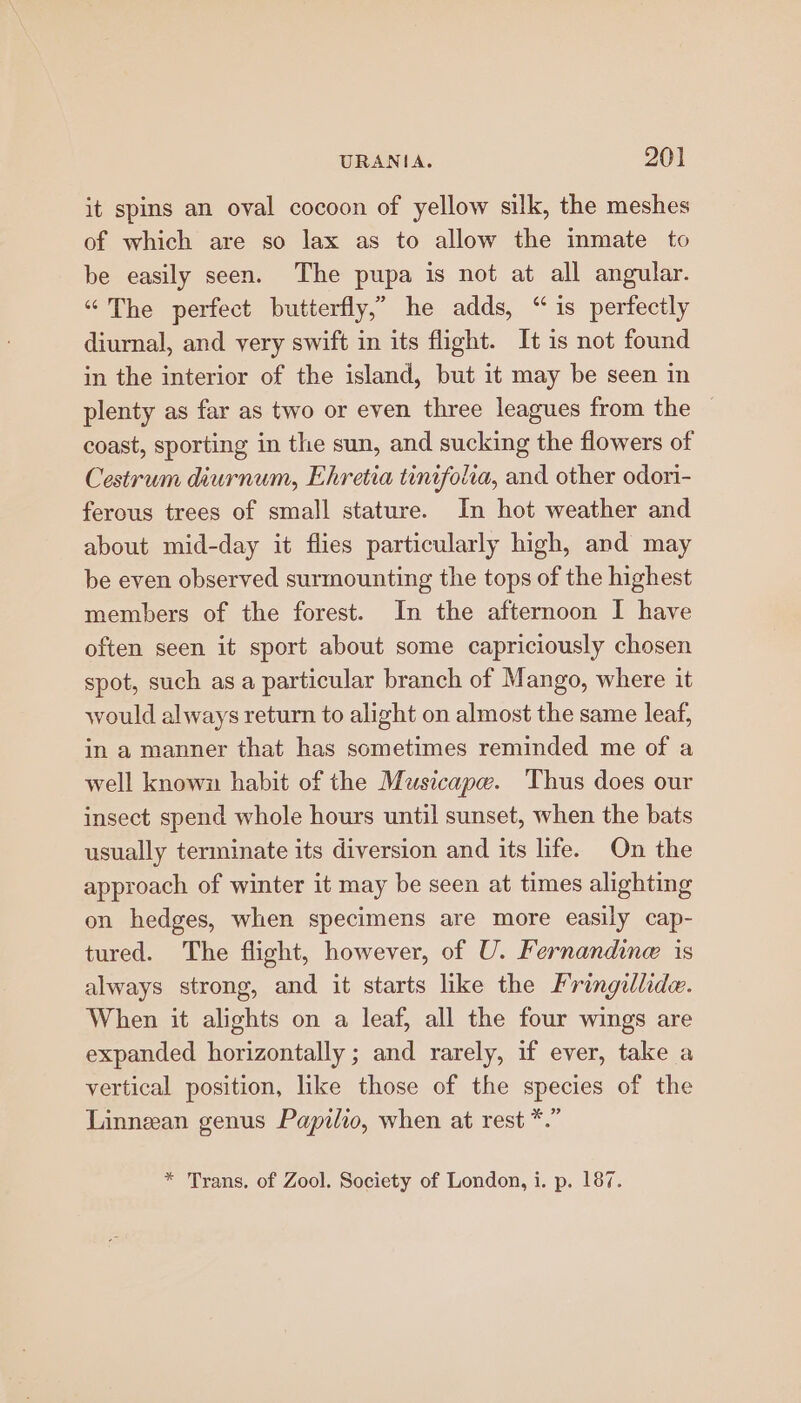 it spins an oval cocoon of yellow silk, the meshes of which are so lax as to allow the inmate to be easily seen. The pupa is not at all angular. “The perfect butterfly,” he adds, “is perfectly diurnal, and very swift in its flight. It is not found in the interior of the island, but it may be seen in plenty as far as two or even three leagues from the — coast, sporting in the sun, and sucking the flowers of Cestrum diurnum, Ehretia tinifolra, and other odori- ferous trees of small stature. In hot weather and about mid-day it flies particularly high, and may be even observed surmounting the tops of the highest members of the forest. In the afternoon I have often seen it sport about some capriciously chosen spot, such as a particular branch of Mango, where it would always return to alight on almost the same leaf, in a manner that has sometimes reminded me of a well known habit of the Musicape. Thus does our insect spend whole hours until sunset, when the bats usually terminate its diversion and its life. On the approach of winter it may be seen at times alighting on hedges, when specimens are more easily cap- tured. The flight, however, of U. Fernandine is always strong, and it starts like the Fringilde. When it alights on a leaf, all the four wings are expanded horizontally ; and rarely, if ever, take a vertical position, like those of the species of the Linnean genus Papilio, when at rest *.” * Trans, of Zool. Society of London, i. p. 187.
