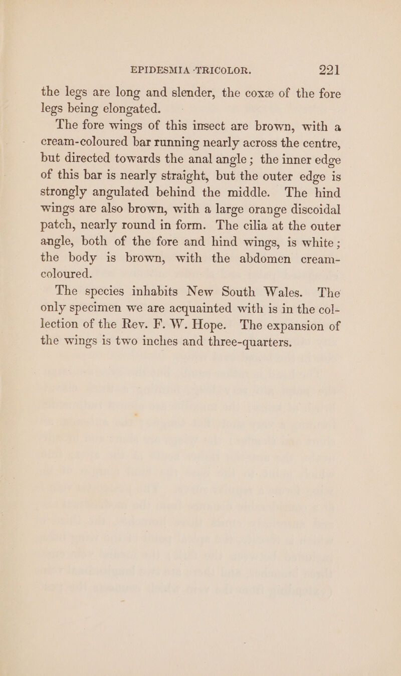 the legs are long and slender, the coxz of the fore legs being elongated. The fore wings of this insect are brown, with a cream-coloured bar running nearly across the centre, but directed towards the anal angle; the inner edge of this bar is nearly straight, but the outer edge is strongly angulated behind the middle. The hind wings are also brown, with a large orange discoidal patch, nearly round in form. The cilia at the outer angle, both of the fore and hind wings, is white ; the body is brown, with the abdomen cream- coloured. The species inhabits New South Wales. The only specimen we are acquainted with is in the col- lection of the Rev. F. W. Hope. The expansion of the wings is two inches and three-quarters.