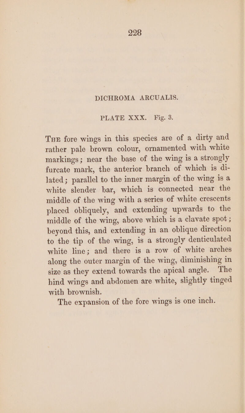 DICHROMA ARCUALIS. PLATE XXX. Fig. 3. TuE fore wings in this species are of a dirty and rather pale brown colour, ornamented with white markings; near the base of the wing is a strongly furcate mark, the anterior branch of which is di- lated; parallel to the inner margin of the wing is a white slender bar, which is connected near the middle of the wing with a series of white crescents placed obliquely, and extending upwards to the middle of the wing, above which is a clavate spot ; beyond this, and extending in an oblique direction to the tip of the wing, is a strongly denticulated white line; and there is a row of white arches along the outer margin of the wing, diminishing in size as they extend towards the apical angle. The hind wings and abdomen are white, slightly tinged with brownish. The expansion of the fore wings is one inch.