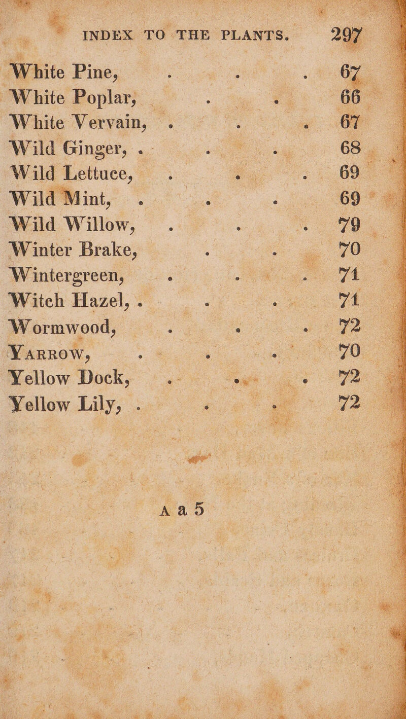 “White Pine, “White Poplar, Wild Ginger, .- Wild Lettuce, © Wild Willow, Winter Brake, ‘Wintergreen, | Witch Hazel, . Wormwood, Varrow, . Yellow Dock, Yellow Lily, . es e e Bars o: ; e o @ ® @