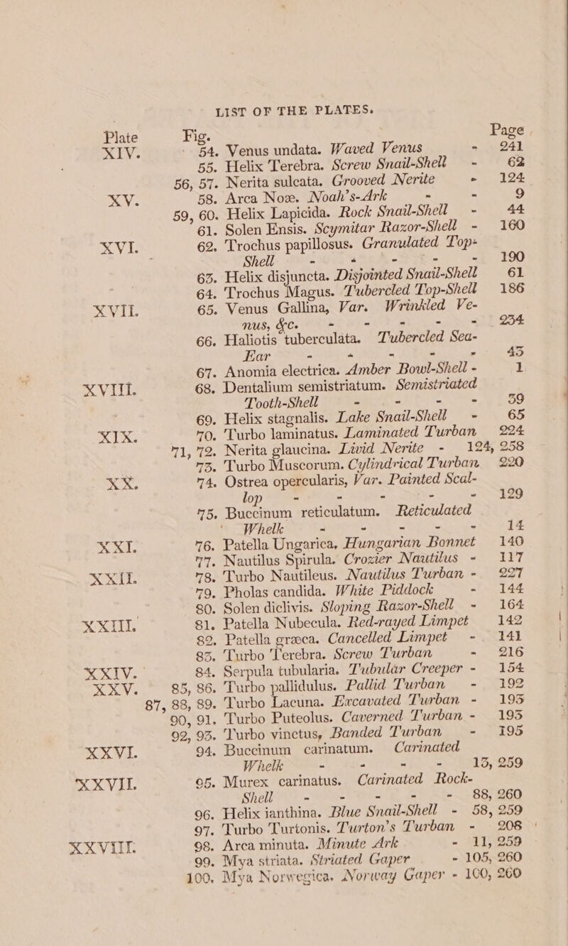 XVUI. XIX. XXL XXV. XXXVI. XXVIII. XXVIII Fig. Page - 4. Venus undata. Waved Venus - 241 55. Helix Terebra. Screw Snail-Shell - 62 56, 57. Nerita sulcata. Grooved Nerite - 124 58. Arca Nox. Noah’s-Ark - - 9 59, 60. Helix Lapicida. Rock Snail-Shell - 44 61. Solen Ensis. Scymitar Razor-Shell - 160 62. Trochus papillosus. Granulated Top- Shell - “ - oe - 190 63. Helix disjuncta. Disjointed Snail-Shell 61 64. Trochus Magus. T'ubercled Top-Shell 186 65. Venus Gallina, Var. Wrinkled Ve- nus, &amp;C. - - - - - 234 66. Haliotis tuberculata. T'ubercled Sea- Ear - “ - - : 45 67. Anomia electrica. Amber Bowl-Shell - 1 68. Dentalium semistriatum. Semistriated Tooth-Shell - - - - 39 69. Helix stagnalis. Lake Snail-Shell - 65 Qo. Turbo laminatus. Laminated Turban 224 71, 72. Nerita glaucina. Livid Nerite - 124, 258 73, Turbo Muscorum. Cylindrical Turban 220 74. Ostrea opercularis, Var. Painted Scal- lop - - - - ~ 129 75, Buccinum reticulatum. Reticulated Whelk - - So ae ien c 14 76. Patella Ungarica, Hungarian Bonnet 140 77, Nautilus Spirula. Crozier Nautilus - 117 7g, Turbo Nautileus. Nautilus Turban - 22 79, Pholas candida. White Piddock - 144 80. Solen diclivis. Sloping Razor-Shell - 164 81, Patella Nubecula. Red-rayed Limpet 142 82, Patella graca. Cancelled Limpet -. 141 85. Turbo Terebra. Screw Turban - 216 84. Serpula tubularia. Tubular Creeper - 154 85, 86. Turbo pallidulus. Pallid Turban - 192 87, 88, 89. Turbo Lacuna. Excavated Turban - 193 90, 91. Turbo Puteolus. Caverned Turban - 193 92, 93. Turbo vinctus, Banded Turban - 195 94, Buccinum carinatum. Carinated Whelk - - oi) = S15, 259 05. Murex carinatus. Carinated Rock- Shell - - - - - 88, 260 96. Helix ianthina. Blue Snail-Shell - 58, 259 97. Turbo Turtonis. Turton’s Turban - 208 | 98. Arca minuta. Minute Ark - 11, 259 99. Mya striata. Striated Gaper - 105, 260 100. Mya Norwegica. Norway Gaper - 100, 260