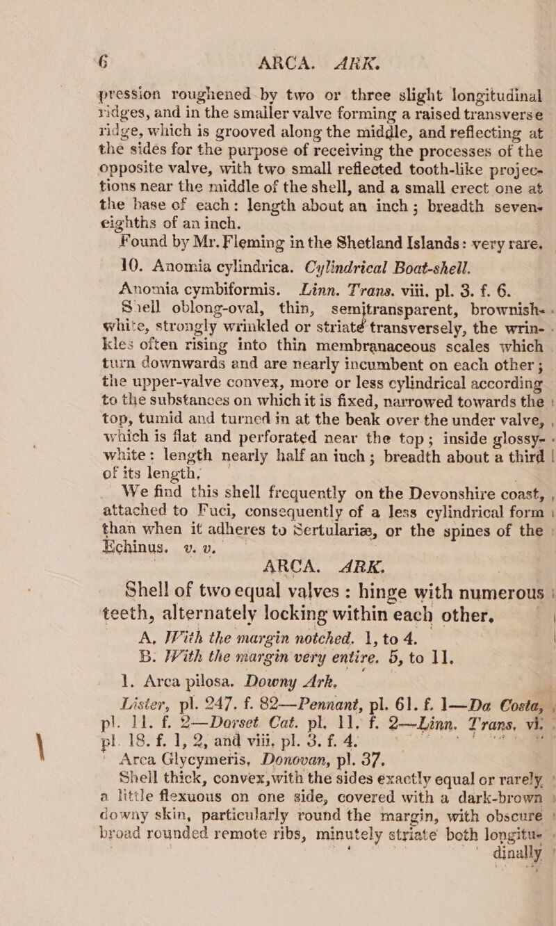 pression roughened by two or three slight longitudinal ridges, and in the smaller valve forming a raised transverse ridge, which is grooved along the middle, and reflecting at the sides for the purpose of receiving the processes of the opposite valve, with two small reflected tooth-like projec- tions near the middle of the shell, and a small erect one at the base of each: length about an inch; breadth sevens eighths of an inch. 10. Anomia cylindrica. Cylindrical Boat-shell. Anomia cymbiformis. Linn. Trans. viii. pl. 3. f. 6. white, strongly wrinkled or stria kles often rising into thin membranaceous scales which urn downwards and are nearly incumbent on each other ; the upper-valve convex, more or less cylindrical according top, tumid and turned in at the beak over the under valve, white: length nearly half an inch; breadth about a third ofits length, . We find this shell frequently on the Devonshire coast, attached to Fuci, consequently of a less cylindrical form | Kchinus. v. v. | ARCA. ARK, Shell of two equal valves ; hinge with numerous teeth, alternately locking within each other. A, IVith the margin notched. 1, to 4. B. With the margin very entire. 5, to 11. 1. Arca pilosa. Downy Ark, pl. 18. f. 1, 2, and viii, pl. 3. f. 4. Arca Glycymeris, Donovan, pl. 37. downy skin, particularly round the margin, with obscure dinally
