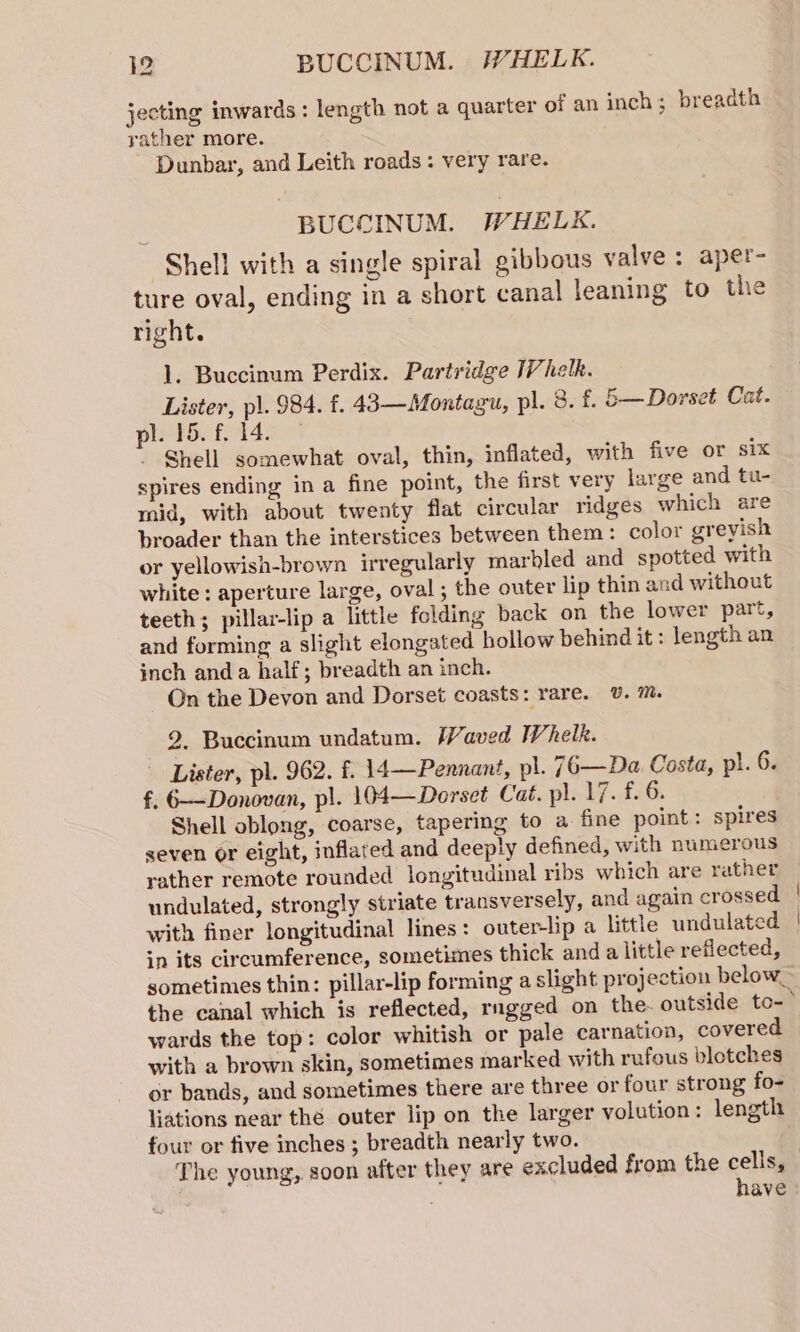 jecting inwards: length not a quarter of an inch; breadth rather more. Dunbar, and Leith roads: very rare. BUCCINUM. WHELK. Shell with a single spiral gibbous valve : aper- ture oval, ending in a short canal leaning to the right. 1. Buccinum Perdix. Partridge Vhelk. Lister, pl. 984. f. 43—Montagu, pl. 8. f. 5—Dorset Cat. pinisfel4e Shell somewhat oval, thin, inflated, with five or six spires ending in a fine point, the first very large and tu- mid, with about twenty flat circular ridges which are broader than the interstices between them: color greyish or yellowish-brown irregularly marbled and spotted with white ; aperture large, oval ; the outer lip thin and without teeth; pillar-lip a little folding back on the lower part, and forming a slight elongated hollow behind it: length an inch anda half; breadth an inch. On the Devon and Dorset coasts: rare. U. ™. 2. Buccinum undatum. Waved Whelk. Lister, pl. 962. f. 14—Pennant, pl. 76—Da Costa, pl. 6. f, 6——Donovan, p!. 104—Dorset Cat. pl. 17. f. 6. Shell oblong, coarse, tapering to a fine point: spires seven or eight, inflated and deeply defined, with numerous rather remote rounded longitudinal ribs which are rather undulated, strongly striate transversely, and again crossed with finer longitudinal lines: outer-lip a little undulated in its circumference, sometimes thick anda little reflected, sometimes thin: pillar-lip forming a slight projection below_ the canal which is reflected, rngged on the. outside to-- wards the top: color whitish or pale carnation, covered with a brown skin, sometimes marked with rufous blotches or bands, and sometimes there are three or four strong fo- liations near thé outer lip on the larger volution: length four or five inches ; breadth nearly two. have