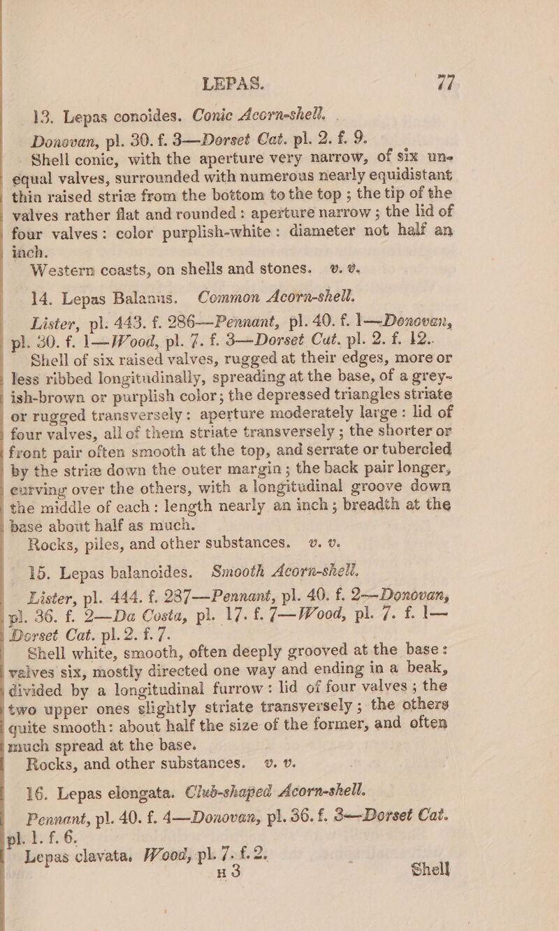 13. Lepas conoides. Conic Acorn-shell. . Donovan, pl. 30. f. 3—Dorset Cat. pl. 2. f. 9. _. Shell conic, with the aperture very narrow, of six une equal valves, surrounded with numerous nearly equidistant thin raised strie from the bottom tothe top ; the tip of the | valves rather flat and rounded : aperture narrow ; the lid of four valves: color purplish-white: diameter not half an inch. _ Western coasts, on shells and stones. v. v. 14. Lepas Balanns. Common Acorn-shell. Lister, pl: 443. f. 286—Pennant, pl. 40. f. 1—Donoven, | pl. 30. f. 1—Wood, pl. 7. £. 3—Dorset Cut. pl. 2. f. 12. Shell of six raised valves, rugged at their edges, more or less ribbed longitudinally, spreading at the base, of a grey- _ish-brown or purplish color; the depressed triangles striate or rugged transversely: aperture moderately large : lid of | four valves, all of them striate transversely ; the shorter or front pair often smooth at the top, and serrate or tubercled by the striz down the outer margin ; the back pair longer, _eurving over the others, with a longitudinal groove down the middle of each: length nearly an inch; breadth at the | base about half as much. | Rocks, piles, and other substances. v. v. 15. Lepas balanoides. Smooth Acorn-shell, Lister, pl. 444. f. 287—Pennant, pl. 40. f. 2—Donovan, pl. 36. f. 2—Da Costa, pl. 17. £. 7—Wood, pl. 7. f. \— | Dorset Cat. pl. 2. f. re | Shell white, smooth, often deeply grooved at the base: valves six, mostly directed one way and ending in a beak, divided by a longitudinal furrow : lid of four valves ; the ‘two upper ones slightly striate transversely ; the others guite smooth: about half the size of the former, and often much spread at the base. | Rocks, and other substances. vw. v. 16. Lepas elongata. Club-shaped Acorn-shell. Pennant, pl. 40. f. 4—Donovan, pl. 36. f. 3—-Dorset Cai. ipl. 1. £. 6. Lepas clavata, Wood, pl. 7. £. 2. H3 Shell