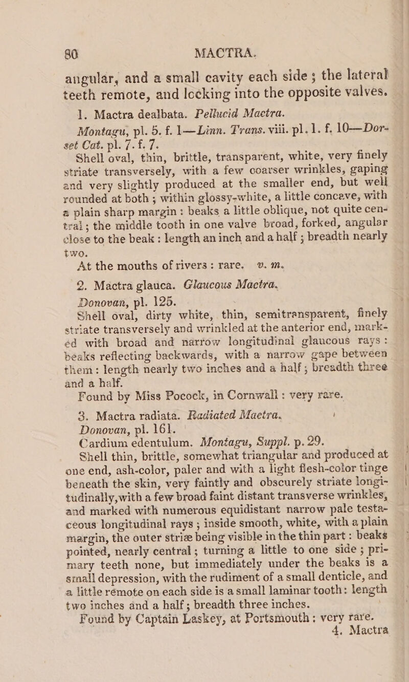 angular, and a small cavity each side ; the lateral teeth remote, and Iccking into the opposite valves. l. Mactra dealbata. Pellucid Mactra. Montagu, pl. 5. f. 1—Linn. Trans. vii. pl. 1. f. 10—Dor- set Cat. pl. 7. f. 7. Shell oval, thin, brittle, transparent, white, very finely striate transversely, with a few coarser wrinkles, gaping and very slightly produced at the smaller end, but well rounded at both ; within glossy-white, a little concave, with a plain sharp margin : beaks a little oblique, not quite cen- tral; the middle tooth in one valve broad, forked, angular close to the beak : length an inch and a half ; breadth nearly two. At the mouths of rivers: rare. v. m. 2. Mactra glauca. Glaucous Mactra. Donovan, pl. 125. Shell oval, dirty white, thin, semitransparent, finely striate transversely and wrinkled at the anterior end, mark- éd with broad and narrow longitudinal glaucous rays : beaks reflecting backwards, with a narrow gape between them: length nearly two inches and a half; breadth three and a half. Found by Miss Pocock, in Cornwall : very rare. 3. Mactra radiata. Radiated Macira, Donovan, pl. 161. Cardium edentulum. Montagu, Suppl. p. 29. Shell thin, brittle, somewhat triangular and produced at one end, ash-color, paler and with a light flesh-color tinge | beneath the skin, very faintly and obscurely striate longi- | tudinally, with a few broad faint distant transverse wrinkles, — and marked with numerous equidistant narrow pale testa- ceous longitudinal rays ; inside smooth, white, with a plain margin, the outer striz being visible in the thin part : beaks pointed, nearly central ; turning a little to one side ; pri- mary teeth none, but immediately under the beaks is a stall depression, with the rudiment of a small denticle, and a little rémote on each side is a small laminar tooth: lengt two inches and a half; breadth three inches. | Found by Captain Laskey, at Portsmouth: very rare. 4, Mactra