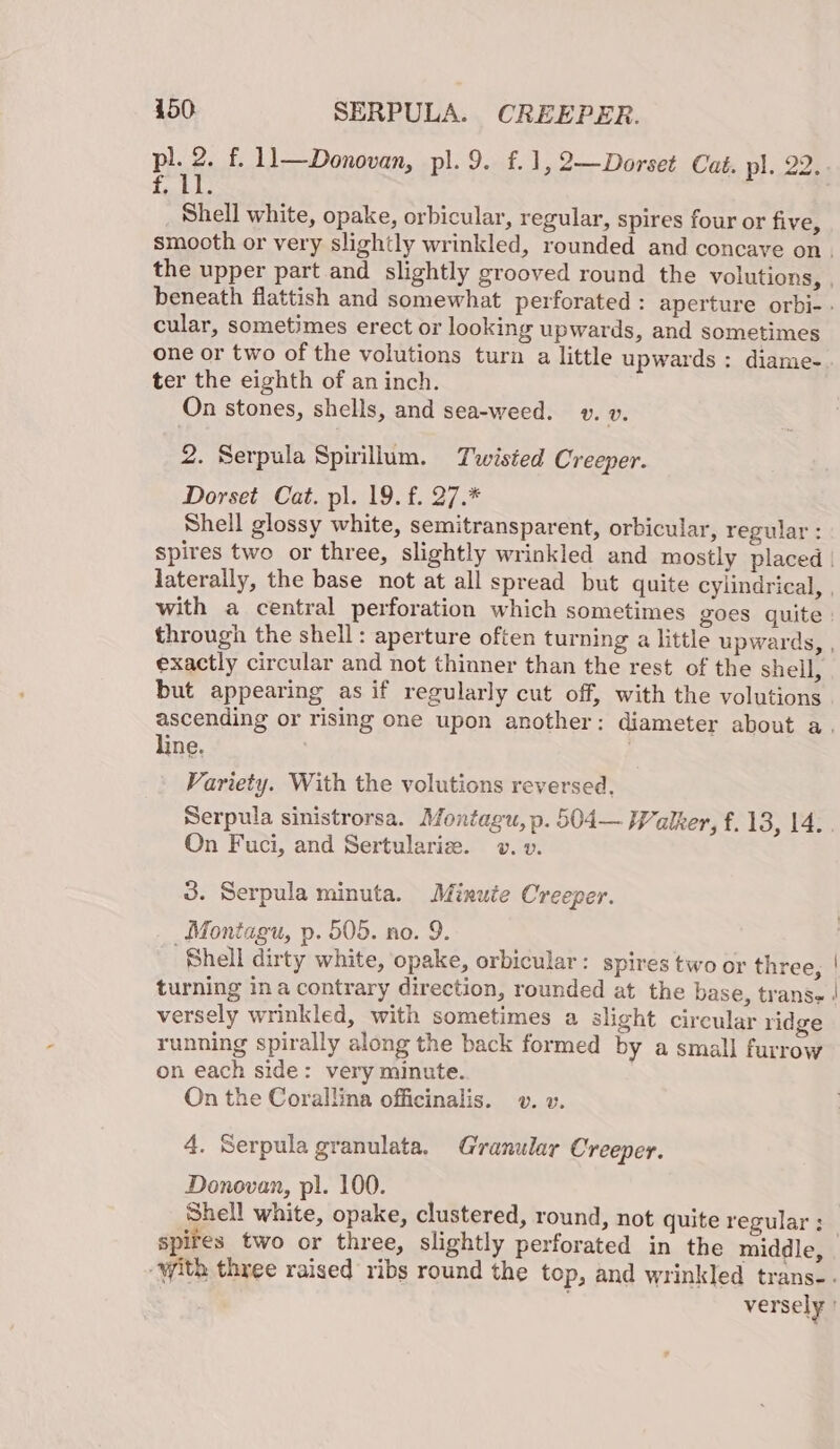 Ph. 2. f. 11—Donovan, pl. 9. f.1,2—Dorset Cat. pl. 22.. £41: Shell white, opake, orbicular, regular, spires four or five, smooth or very slightly wrinkled, rounded and concave on. the upper part and slightly grooved round the volutions, , beneath flattish and somewhat perforated: aperture orbi-. cular, sometimes erect or looking upwards, and sometimes one or two of the volutions turn a little upwards : diame-. ter the eighth of aninch. On stones, shells, and sea-weed. v. v. 2. Serpula Spirillum. Twisted Creeper. Dorset Cat. pl. 19. f. 27.* Shell glossy white, semitransparent, orbicular, regular : spires two or three, slightly wrinkled and mostly placed | laterally, the base not at all spread but quite cylindrical, | with a central perforation which sometimes goes quite: through the shell: aperture often turning a little upwards, , exactly circular and not thinner than the rest of the shell, but appearing as if regularly cut off, with the volutions ascending or rising one upon another: diameter about a. line. . Variety. With the volutions reversed, Serpula sinistrorsa. Montagu, p. 504— Walker, f. 13, 14. On Fuci, and Sertulariz. vv. v. 3. Serpula minuta. Minute Creeper. Montagu, p. 505. no. 9. Shell dirty white, opake, orbicular: spires two or three, | turning ina contrary direction, rounded at the base, trans versely wrinkled, with sometimes a slight circular ridge running spirally along the back formed by a small furrow on each side: very minute. On the Corallina officinalis. v. v. 4. Serpula granulata, Granular Creeper. Donovan, pl. 100. Shell white, opake, clustered, round, not quite regular; spires two or three, slightly perforated in the middle, -with three raised ribs round the top, and wrinkled trans-. versely |