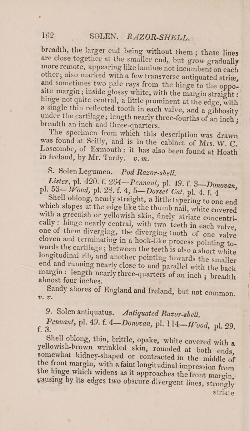 breadth, the larger end being without them ; these lines are Close together at the smaller end, but grow gradually more remote, appearing like laminge not incumbent on each other; aiso marked with a few transverse antiquated stria, and sometimes two pale rays from the hinge to the oppo-_ site margin ; inside glossy white, with the margin straight :_ hinge not quite central, a little prominent at the edge, with a single thin reflected tooth in each valve, and a gibbosity under the cartilage; length nearly three-fourths of an inch ; breadth an inch and three-quarters. The specimen from which this description was drawn was found at Scilly, and is in the cabinet of Mrs. W. C. Loscombe, of Exmouth: it has also been found at Hoath in Ireland, by Mr. Tardy. v. m. S. SolenLegumen. Pod Razor-shell. Lister, pl. 420. f. 264— Pennant, pl. 49. f. 3—Donovan, pl. 53— Wood, pl. 28. f. 4, 5—Dorset Cat. pl. 4. f. 4 Shell oblong, nearly straight, a little tapering to one end which slopes at the edge like the thumb nail, white covered with a greenish or yellowish skin, finely striate concentri- cally : hinge nearly central, with two teeth in each valve, one of them diverging, the diverging tooth of one valve cloven and terminating in a hook-like process pointing to- wards the cartilage ; between the teeth is also a Short white longitudinal rib, and another pointing towards the smaller end and running nearly close to and parallel with the back margin: length nearly three-quarters of an inch 3 breadth almost four inches. Sandy shores of England and Ireland, but not common. Vv. v. 9. Solen antiquatus. Antiguated Razor-shell. Pennant, pl. 49. f. 4—Donovan, pl. 114d— Wood, pl. 29. 3 Shell oblong, thin, brittle, opake, white covered with a yellowish-brown wrinkled skin, rounded at both ends, somewhat kidney-shaped or contracted in the middle of the front margin, with a faint longitudinal impression from the hinge which widens as it approaches the front margin, ¢ausing by its edges two obscure divergent lines, strongly Striate