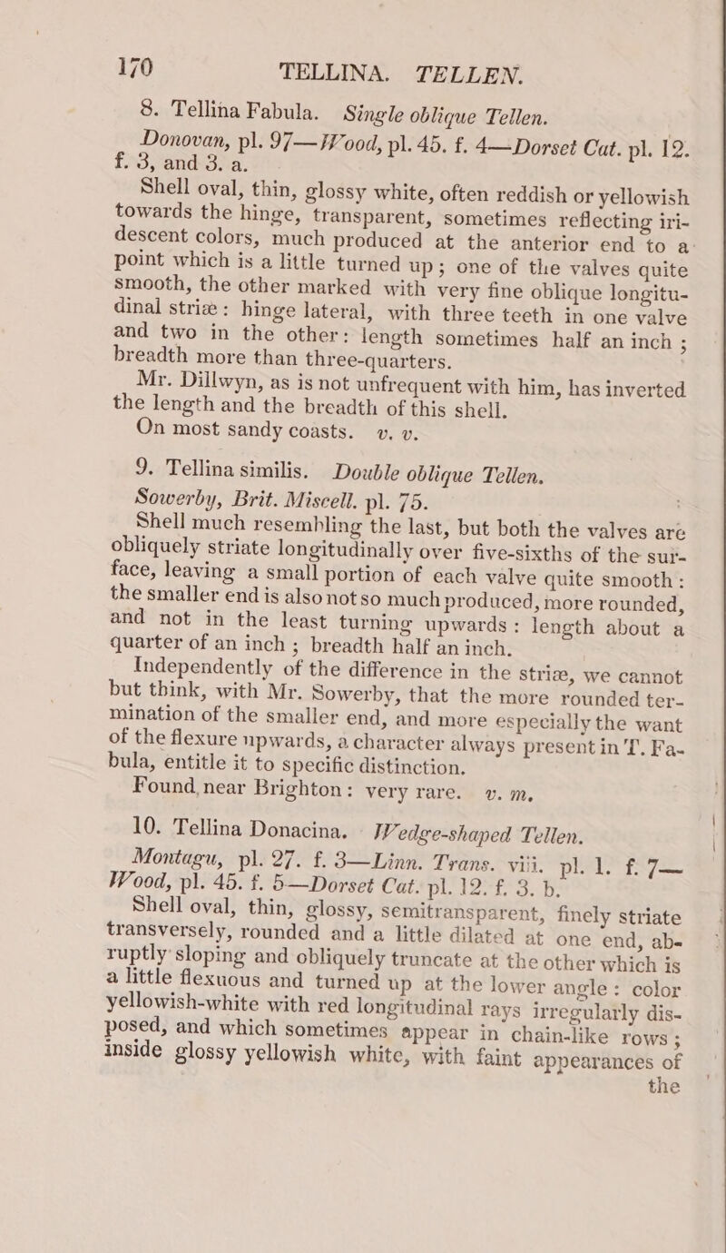 8. Tellina Fabula. Single oblique Tellen. Donovan, pl. 97—W ood, pl. 45. £. 4—Dorset Cat. pl. 12. f..3, and: 3. a. Shell oval, thin, glossy white, often reddish or yellowish towards the hinge, transparent, sometimes reflecting iri- descent colors, much produced at the anterior end to a: point which is a little turned up; one of the valves quite smooth, the other marked with very fine oblique longitu- dinal strie : hinge lateral, with three teeth in one valve and two in the other: length sometimes half an inch $ breadth more than three-quarters. Mr. Dillwyn, as is not unfrequent with him, has inverted the length and the breadth of this shell. On most sandy coasts. v. v. 9. Tellina similis. Double oblique Tellen. Sowerby, Brit. Miscell. pl. 75. Shell much resembling the last, but both the valves are obliquely striate longitudinally over five-sixths of the sur- face, leaving a small portion of each valve quite smooth : the smaller end is also not so much produced, more rounded, and not in the least turning upwards: length about a quarter of an inch ; breadth half an inch. Independently of the difference in the stria, we cannot but think, with Mr. Sowerby, that the more rounded ter- mination of the smaller end, and more especially the want of the flexure upwards, a character always present in’. Fa- bula, entitle it to specific distinction. Found near Brighton: very rare. v.m, 10. Tellina Donacina. Wedge-shaped Tellen. Montagu, pl. 27. f. 3—Linn. Trans. viii. pl. 1. f 7— Wood, pl. 45. f. 5—Dorset Cat. pl. 12--£ 3. 6. Shell oval, thin, glossy, semitransparent, finely striate transversely, rounded and a little dilated at one end, ab- ruptly sloping and obliquely truncate at the other which is a little flexuous and turned up at the lower angle: color yellowish-white with red longitudinal rays irregularly dis- posed, and which sometimes appear in chain-like rows ; inside glossy yellowish white, with faint appearances of the