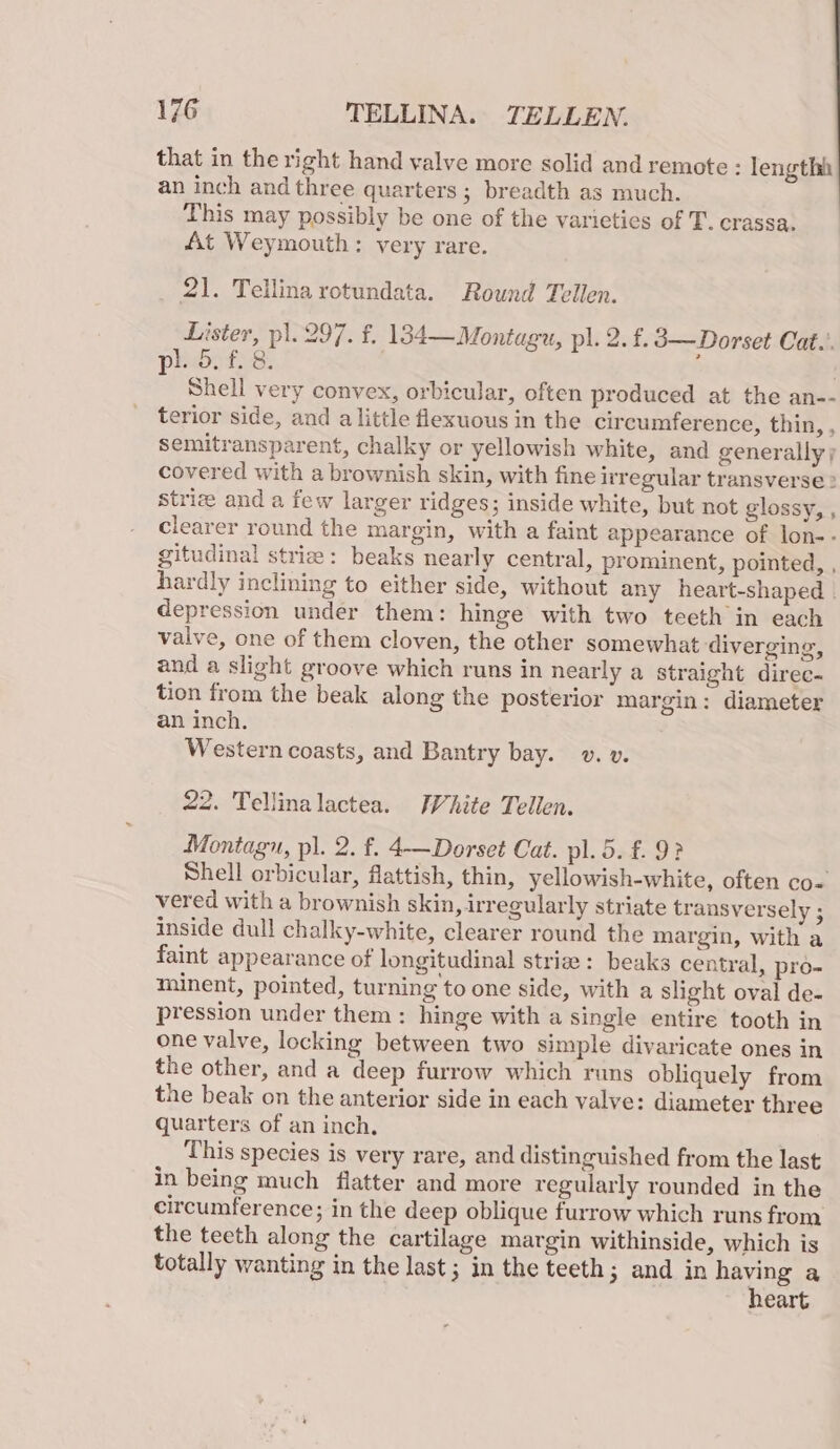 that in the right hand valve more solid and remote : lengthh an inch and three quarters; breadth as much. This may possibly be one of the varieties of T. crassa. At Weymouth: very rare. 21. Teilina rotundata. Round Tellen. Lister, pl. 297. f. 134— Montagu, pl. 2. £. 3—Dorset Cat... prostss. Shell very convex, orbicular, often produced at the an-- terior side, and a little flexuous in the circumference, thin, , semitransparent, chalky or yellowish white, and generally; covered with a brownish skin, with fine irregular transverse &gt; Striz and a few larger ridges; inside white, but not glossy, , clearer round the margin, with a faint appearance of lon-- gitudinal strie: beaks nearly central, prominent, pointed, , hardly inclining to either side, without any heart-shaped . depression under them: hinge with two teeth in each vaive, one of them cloven, the other somewhat diverging, and a slight groove which runs in nearly a straight direc- tion from the beak along the posterior margin: diameter an inch. Western coasts, and Bantry bay. v. v. 22. Tellinalactea. White Tellen. Montagu, pl. 2. f. 4—Dorset Cat. pl. 5. £. 9? Shell orbicular, flattish, thin, yellowish-white, often co- vered with a brownish skin, irregularly striate transversely ; inside dull chalky-white, clearer round the margin, with a faint appearance of longitudinal striz : beaks central, pro- minent, pointed, turning to one side, with a slight oval de- pression under them: hinge with a single entire tooth in one valve, locking between two simple divaricate ones in the other, and a deep furrow which runs obliquely from the beak on the anterior side in each valve: diameter three quarters of an inch. This species is very rare, and distinguished from the last in being much flatter and more regularly rounded in the circumference; in the deep oblique furrow which runs from the teeth along the cartilage margin withinside, which is totally wanting in the last; in the teeth; and in apyne a eart