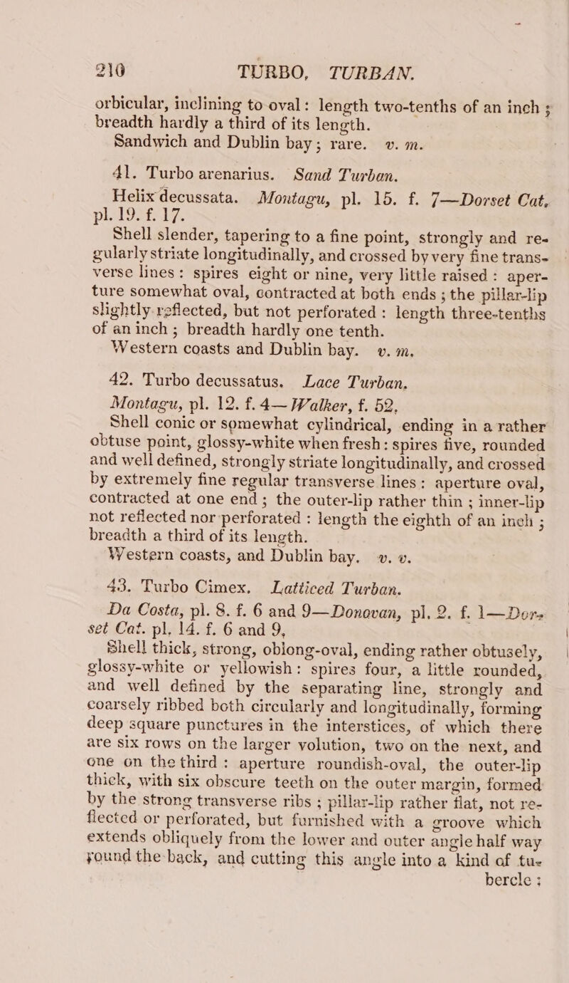 orbicular, inclining to oval: length two-tenths of an inch ; breadth hardly a third of its length. Sandwich and Dublin bay; rare. v. m. 41. Turbo arenarius. Sand Turban. Helixdecussata. Montagu, pl. 15. f. 7—Dorset Cat, phiore ty. Shell slender, tapering to a fine point, strongly and re- gularly striate longitudinally, and crossed by very fine trans- verse lines: spires eight or nine, very little raised : aper- ture somewhat oval, contracted at both ends ; the pillar-lip slightly reflected, but not perforated : length three-tenths of aninch ; breadth hardly one tenth. Western coasts and Dublin bay. v. m. 42. Turbo decussatus. Lace Turban. Montagu, pl. 12. f.4~ Walker, f. 52, Shell conic or somewhat cylindrical, ending in a rather obtuse point, glossy-white when fresh: spires five, rounded and well defined, strongly striate longitudinally, and crossed by extremely fine regular transverse lines: aperture oval, contracted at one end; the outer-lip rather thin ; inner-lip not reflected nor perforated : length the eighth of an inch ; breadth a third of its length. Western coasts, and Dublin bay, ». ». 43. Turbo Cimex. Latticed Turban. Da Costa, pl. 8. f. 6 and 9—Donovan, pl, 2. f. 1—Ders set Cat. pl, 14. f. 6 and 9, Shell thick, strong, oblong-oval, ending rather obtusely, glossy-white or yellowish: spires four, a little rounded, and well defined by the separating line, strongly and coarsely ribbed both circularly and longitudinally, forming deep square punctures in the interstices, of which there are six rows on the larger volution, two on the next, and one on the third: aperture roundish-oval, the outer-lip thick, with six obscure teeth on the outer margin, formed by the strong transverse ribs ; pillar-lip rather flat, not re- flected or perforated, but furnished with a groove which extends obliquely from the lower and outer angle half way yound the-back, and cutting this angle into a kind of tue bercle ;