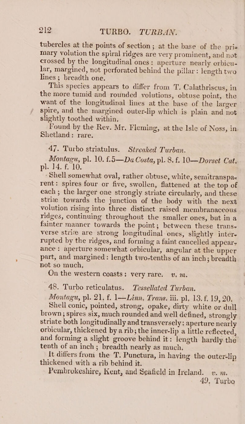 tubercles at the points of section; at the base of the pri« mary volution the spiral ridges are very prominent, and not crossed by the longitudinal ones: aperture nearly orbicu- lar, margined, not perforated behind the pillar: length two lines ; breadth one. This species appears to differ from T. Calathriscus, in the more tumid and rounded volutions, obtuse point, the want of the longitudinal lines at the base of the larger spire, and the margined outer-lip which is plain and not slightly toothed within, Found by the Rev. Mr. Fleming, at the Isle of Noss, in Shetland: rare. 47. Turbo striatulus. Streaked Turban. Montagu, pl. 10. f£.5—Da Costa, pl. 8.f. 10—Dorset Cat, pl. 14. f. 10. ‘ Shell somewhat oval, rather obtuse, white, semitranspa-= rent: spires four or five, swollen, flattened at the top of each ; the larger one strongly striate circularly, and these Strie towards the junction of the body with the next volution rising into three distinct raised membranaceous ridges, continuing throughout the smaller ones, but in a fainter manner towards the point; between these trans- verse strive are strong longitudinal ones, slightly inter- rupted by the ridges, and forming a faint cancelled appear- ance : aperture somewhat orbicular, angular at the upper part, and margined : length two-tenths of an inch; breadth not so much, On the western coasts: very rare. v, m. 48. Turbo reticulatus. Tessellated Turban. Montagu, pl. 21, f. l—Linn. Trans. iii. pl, 13. f, 19, 20, Shell conic, pointed, strong, opake, dirty white or dull brown spires six, much rounded and well defined, strongly striate both longitudinally and transversely; aperture nearly orbicular, thickened by a rib; the inner-lip a little reflected, and forming a slight groove behind it: length hardly the tenth of an inch; breadth nearly as much, It differs from the T. Punctura, in having the outer-lip thickened with a rib behind it. Pembrokeshire, Kent, and Seafield in Ireland. v. m. 49, Turbo