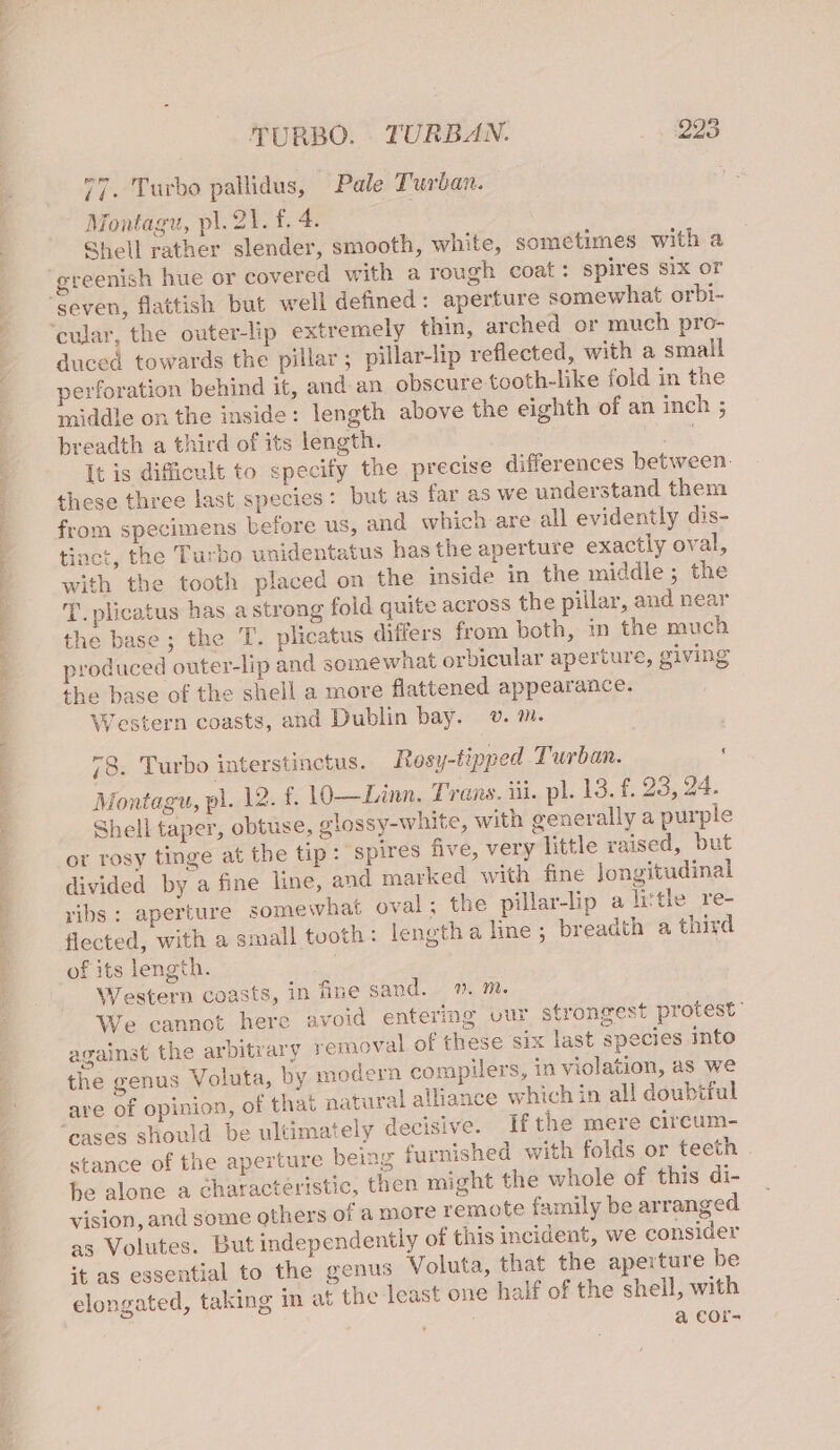 ee eee ee, Oye AS, re eel W TURBO. . TURBAN. 223 77, Turbo pallidus, Pale Turban. Montagu, pl. 21. f. 4. Shell rather slender, smooth, white, sometimes with a reenish hue or covered with a rough coat: spires six or duced towards the pillar ; pillar-lip reflected, with a small evforation behind it, and an obscure tooth-like fold in the middle on the inside: length above the eighth of an inch ; breadth a third of its length. a It is dificult to specify the precise differences between. these three last species: but as far as we understand them from specimens before us, and which are all evidently dis- tinct, the Turbo unidentatus has the aperture exactly oval, with the tooth placed on the inside in the middle; the T. plicatus has a strong fold quite across the pillar, and near the base; the T. plicatus differs from both, in the much produced outer-lip and somewhat orbicular aperture, giving the base of the shell a more flattened appearance. Western coasts, and Dublin bay. v. ™. f 78. Turbo interstinctus. Rosy-tipped Turban. Montagu, pl. 12. £. 1O—Linn. Trans. iii. pl. 13. f. 23, 24. Shell taper, obtuse, olossy-white, with generally a purple or rosy tinge at the tip: spires five, very little raised, but divided by a fine line, and marked with fine Jongitudinal ribs: aperture somewhat oval; the pillar-lip a little re- flected, with a small tooth: lengtha line; breadth a third of its length. Western coasts, in fine sand. ». m. We cannot here avoid entering vur strongest protest against the arbitrary removal of these six last species into the genus Voluta, by modern compilers, in violation, as we are of opinion, of that natural alliance which in all doubtful ‘cases should be ultimately decisive. If the mere circum- stance of the aperture being furnished with folds or teeth . be alone a characteristic, then might the whole of this di- vision, and some others of a more remote family be arranged as Volutes. But independently of this incident, we consider it as essential to the genus Voluta, that the aperture be elongated, taking im at the least one half of the shell, with a €or