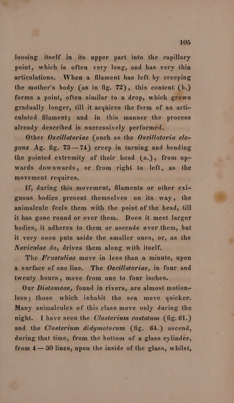 loosing itself in its upper part into the capillary point, which is often very long, and has very thin articulations. When a filament has left by creeping the mother’s body (as in fig. 72), this content (b+) forms a point, often similar to a drop, which grows gradually longer, till it acquires the form of an arti- culated filament; and in this manner the process already described is successively performed. Other Oscillatoriae (such as the Oscillatoria ele- gans Ag. fig. 73— 74) creep in turning and bending the puinted extremity of their head (a.), from up- wards downwards, or from right to left, as the movement requires. If, during this movement, filaments or other exi- guous bodies present themselves on its way, the animalcule feels them with the point of the head, till it has gone round or over them. Does it meet larger bodies, it adheres to them or ascends over them, but it very soon puts aside the smaller ones, or, as the Naviculae do, drives them along with itself. The Frustuliae move in less than a minute, upon a surface of one line. The Oscillatoriae, in four and twenty hours, move from one to four inches. Our Diatomeae, found in rivers, are almost motion- less; those which inhabit the sea move quicker. Many animalcules of this class move only during the night. Ihave seen the Closterium costatum (fig. 61.) and the Closterium didymotocum (fig. 64.) ascend, during that time, from the bottom of a glass cylinder, from 4— 30 lines, upon the inside of the glass, whilst,
