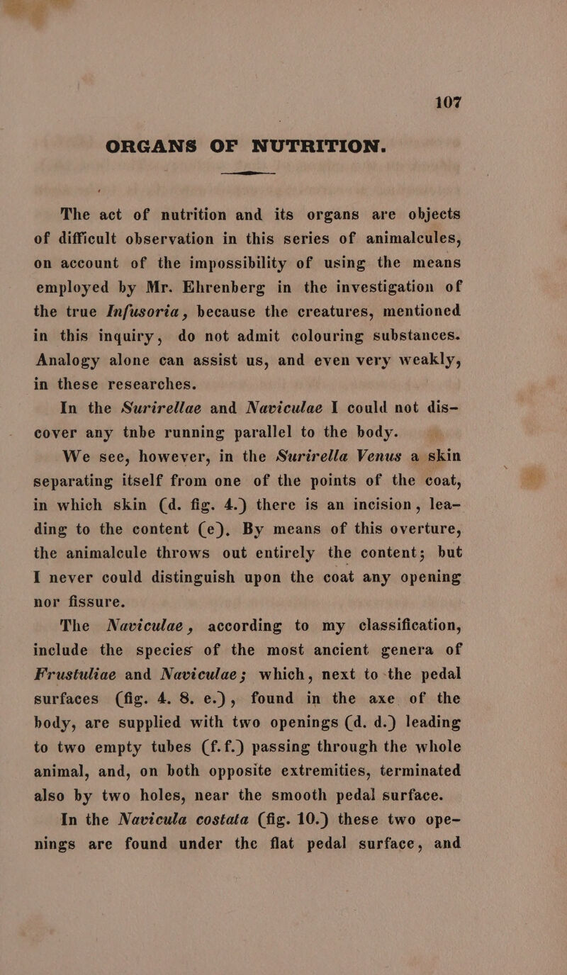 ORGANS OF NUTRITION. The act of nutrition and its organs are objects of difficult observation in this series of animalcules, on account of the impossibility of using the means employed by Mr. Ehrenberg in the investigation of the true Infusoria, because the creatures, mentioned in this inquiry, do not admit colouring substances. Analogy alone can assist us, and even very weakly, in these researches. | In the Surirellae and Naviculae 1 could not dis- cover any tnbe running parallel to the body. We see, however, in the Surirella Venus a skin separating itself from one of the points of the coat, in which skin (d. fig. 4.) there is an incision, lea- ding to the content (e), By means of this overture, the animalcule throws out entirely the content; but I never could distinguish upon the coat any opening nor fissure. The Naviculae, according to my classification, include the species of the most ancient genera of Frustuliae and Naviculae; which, next to-the pedal surfaces (fig. 4. 8. e.), found in the axe of the body, are supplied with two openings (d. d.) leading to two empty tubes (f.f.) passing through the whole animal, and, on both opposite extremities, terminated also by two holes, near the smooth pedal surface. In the Navicula costata (fig. 10.) these two ope- nings are found under the flat pedal surface, and