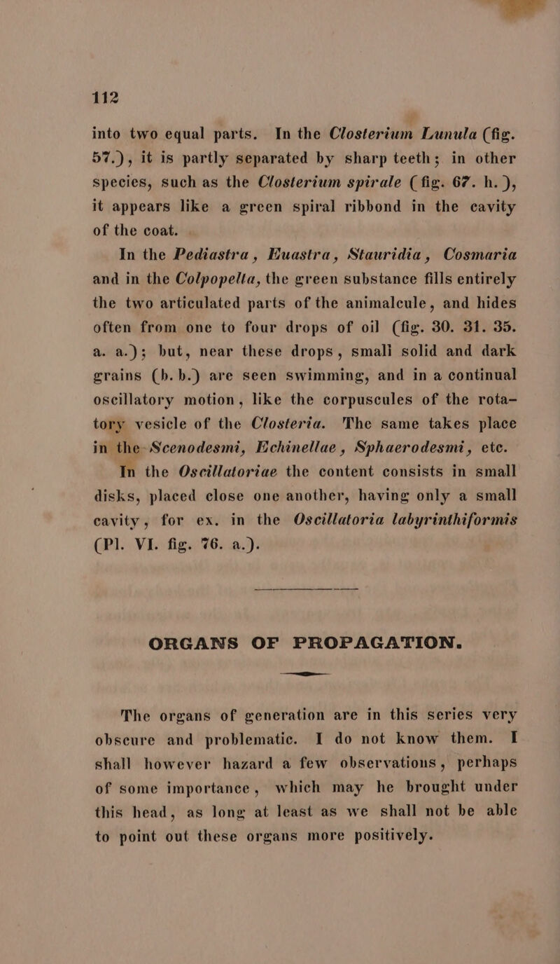 into two equal parts. In the Closterium Lunula (fig. 57.), it is partly separated by sharp teeth; in other species, such as the Closterium spirale (fig. 67. h. ), it appears like a green spiral ribbond in the cavity of the coat. In the Pediastra, Euastra, Stauridia, Cosmaria and in the Colpopelta, the green substance fills entirely the two articulated parts of the animalcule, and hides often from one to four drops of oil (fig. 30. 31. 35. a. a.); but, near these drops, smali solid and dark grains (b.b.) are seen swimming, and in a continual oscillatory motion, like the corpuscules of the rota- tory vesicle of the Closteria. The same takes place in the-Scenodesmi, Echinellae, Sphaerodesmi, etc. In the Oscillatoriae the content consists in small disks, placed close one another, having only a small cavity, for ex. in the Oscillatoria labyrinthiformis (Pl. VI. fig. 76. a.). ORGANS OF PROPAGATION. i The organs of generation are in this series very obscure and problematic. I do not know them. I shall however hazard a few observations, perhaps of some importance, which may he brought under this head, as long at least as we shall not be able to point out these organs more positively.
