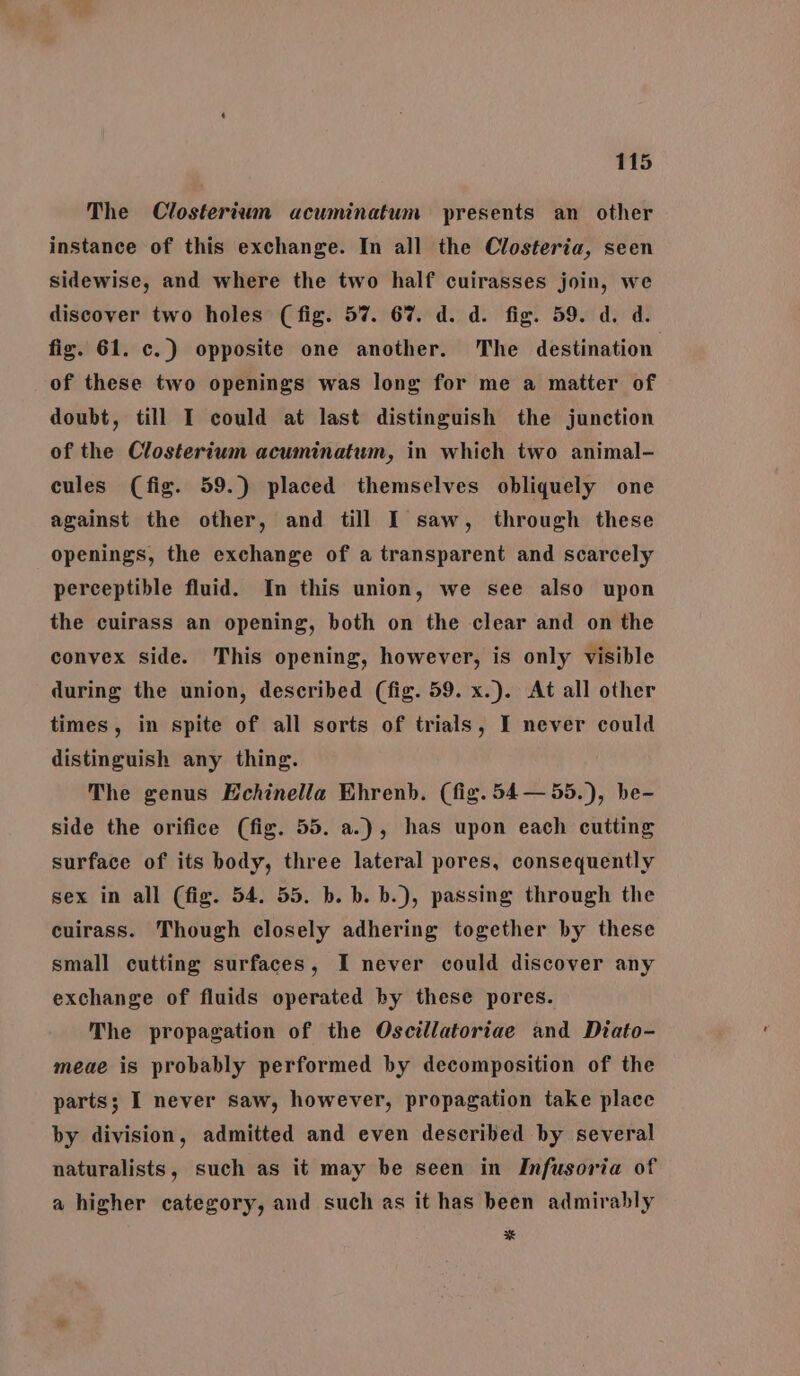 The Closteriwn acuminatum presents an other instance of this exchange. In all the Closteria, seen sidewise, and where the two half cuirasses join, we discover two holes (fig. 57. 67%. d. d. fig. 59. d. d. fig. 61. c.) opposite one another. The destination. of these two openings was long for me a matter of doubt, till I could at last distinguish the junction of the Closterium acuminatum, in which two animal- cules (fig. 59.) placed themselves obliquely one against the other, and till I saw, through these openings, the exchange of a transparent and scarcely perceptible fluid. In this union, we see also upon the cuirass an opening, both on the clear and on the convex side. This opening, however, is only visible during the union, described (fig. 59. x.). At all other times, in spite of all sorts of trials, I never could distinguish any thing. The genus Echinella Ehrenb. (fig. 54—55.), he- side the orifice (fig. 55. a.), has upon each cutting surface of its body, three lateral pores, consequently sex in all (fig. 54. 55. b. b. b.), passing through the cuirass. Though closely adhering together by these small cutting surfaces, I never could discover any exchange of fluids operated by these pores. The propagation of the Oscillatoriae and Diato- meae is probably performed by decomposition of the parts; I never saw, however, propagation take place by division, admitted and even described by several naturalists, such as it may be seen in Infusoria of a higher category, and such as it has been admirably *