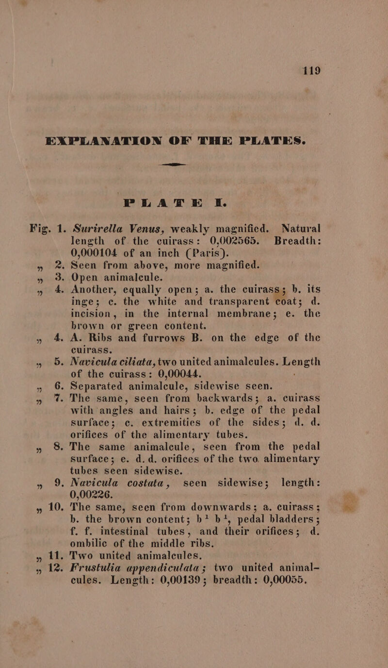 Se PLATE EK % rm Co 0 TO OO 11. 12. length of. the cuirass: 0,002565. Breadth: 0,000104 of an inch (Paris). inge; c. the white and transparent coat; d. incision, in the internal membrane; e. the brown or green content. cuirass. of the cuirass: 0,00044. with angles and hairs; b. edge of the pedal surface; c. extremities of the sides; d. d. orifices of the alimentary tubes. The same animalcule, seen from the pedal surface; e. d.d. orifices of the two. alimentary tubes seen sidewise. 0,00226. : The same, seen from downwards; a. cuirass ; b. the brown content; b* b+, pedal bladders; f. f. intestinal tubes, and their orifices; d. ombilic of the middle ribs. Two united animalcules. Frustulia appendiculata; two united animal- cules. Length: 0,00139; breadth: 0,00035, us