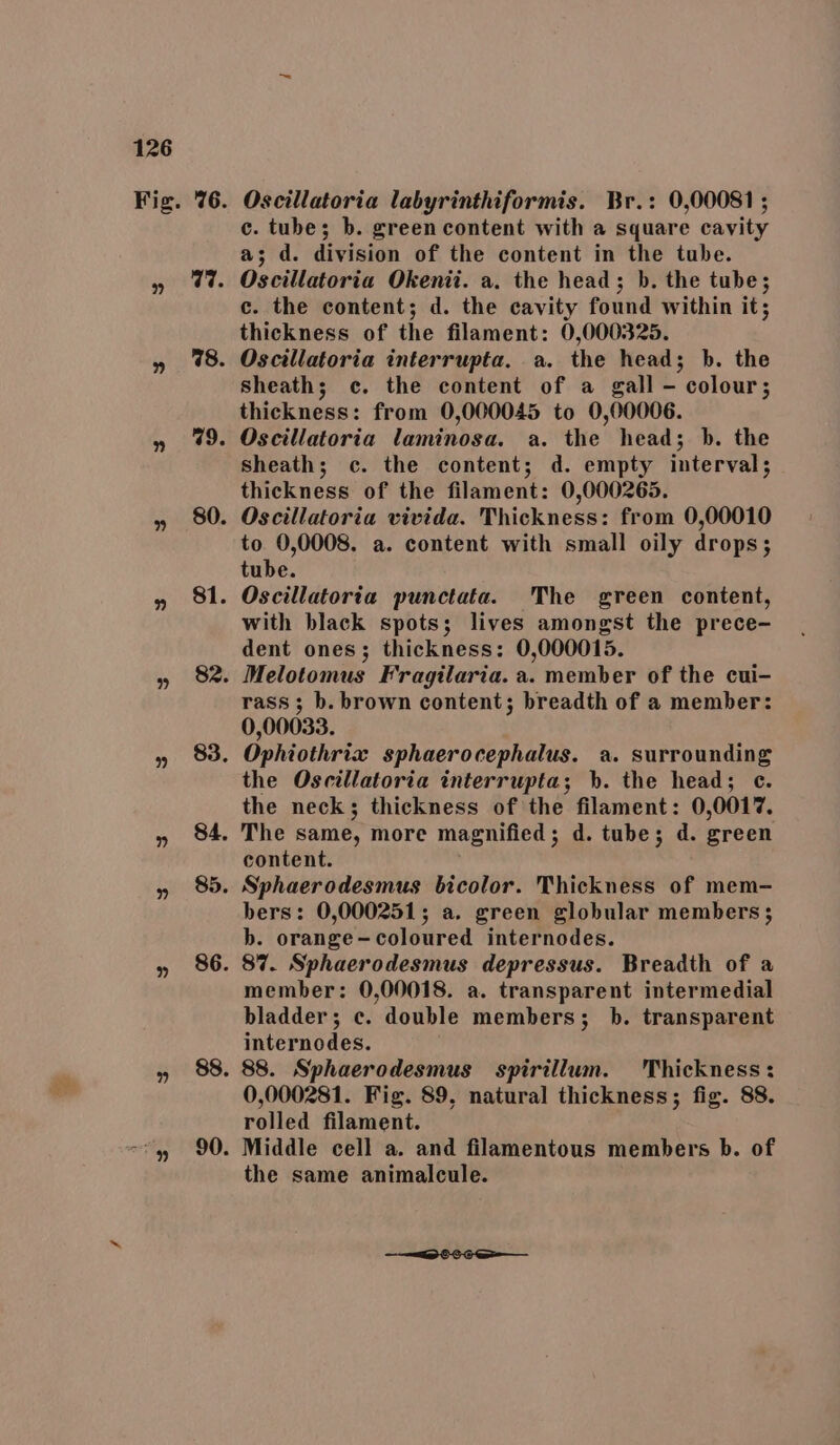 Fig. 76. aru? 9 IB. ‘90: » 80. goat. yy » 83. » 984. BB » (86. » 88. BO POO: Oscillatoria labyrinthiformis. Br.: 0,00081 ; c. tube; b. green content with a square cavity a; d. division of the content in the tube. Oscillatoria Okenti. a. the head; b. the tube; c. the content; d. the cavity found within it; thickness of the filament: 0,000325. Oscillatoria interrupta. a. the head; b. the sheath; c. the content of a gall - colour; thickness: from 0,000045 to 0,00006. Oscillatoria laminosa. a. the head; b. the sheath; c. the content; d. empty interval; thickness of the filament: 0,000265. Oscillatoria vivida. Thickness: from 0,00010 to 0,0008. a. content with small oily drops; tube. Oscillatoria punctata. The green content, with black spots; lives amongst the prece- dent ones; thickness: 0,000015. Melotomus Fragilaria. a. member of the cui- rass; b. brown content; breadth of a member: 0,00033. Ophiothrix sphaerocephalus. a. surrounding the Oscillatoria interrupta; b. the head; ec. the neck; thickness of the filament: 0,0017%. The same, more magnified ; d. tube; d. green content. Sphaerodesmus bicolor. Thickness of mem- bers: 0,000251; a. green globular members; b. orange-coloured internodes. 87. Sphaerodesmus depressus. Breadth of a member: 0,00018. a. transparent intermedial bladder; c. double members; b. transparent internodes. 88. Sphaerodesmus spirillum. Thickness: 0,000281. Fig. 89, natural thickness; fig. 88. rolled filament. Middle cell a. and filamentous members b. of the same animalcule.