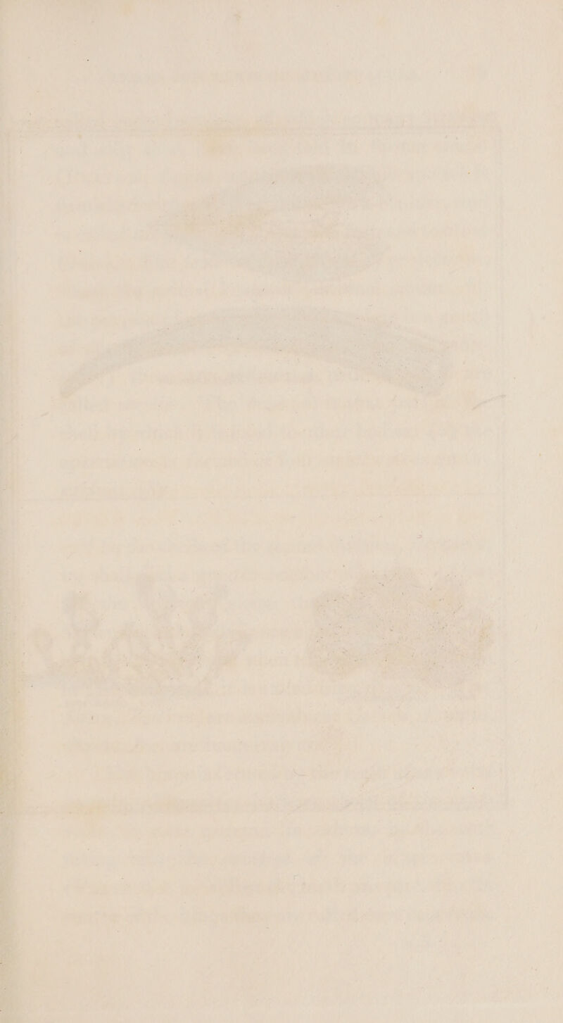 ptENS Pe SS Shee &amp; : : ¢5 at ass ‘ hie