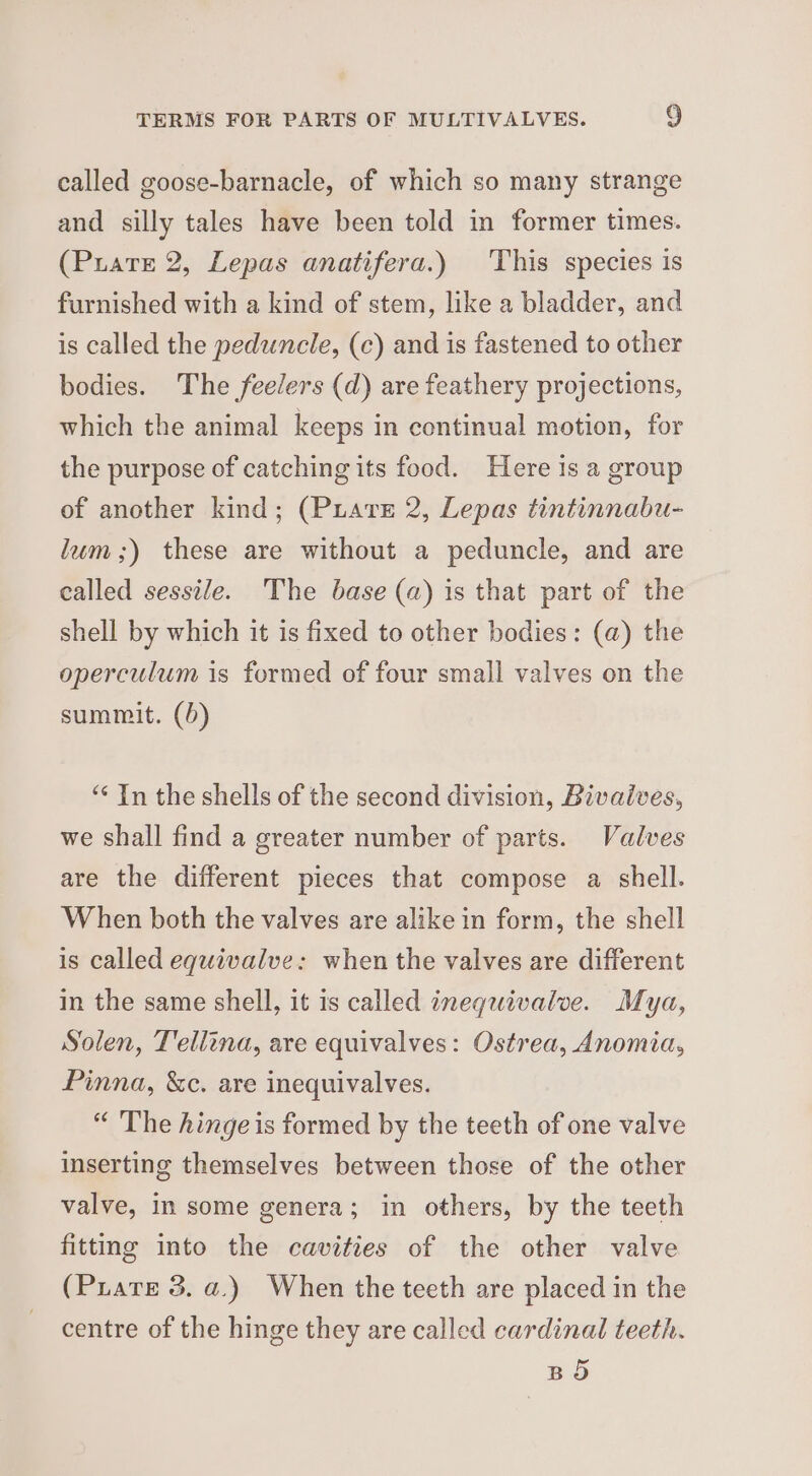 called goose-barnacle, of which so many strange and silly tales have been told in former times. (Puate 2, Lepas anatifera.) This species is furnished with a kind of stem, like a bladder, and is called the peduncle, (c) and is fastened to other bodies. The feelers (d) are feathery projections, which the animal keeps in continual motion, for the purpose of catching its food. Here is a group of another kind; (Puave 2, Lepas tintinnabu- lum ;) these are without a peduncle, and are called sessile. The base (a) is that part of the shell by which it is fixed to other bodies: (a) the operculum is formed of four small valves on the summit. (5) “* In the shells of the second division, Bivaives, we shall find a greater number of parts. Valves are the different pieces that compose a shell. When both the valves are alike in form, the shell is called equivalve: when the valves are different in the same shell, it is called inequivalve. Mya, Solen, T'ell¢na, are equivalves: Ostrea, Anomia, Pinna, &amp;c. are inequivalves. “ The hinge is formed by the teeth of one valve inserting themselves between those of the other valve, in some genera; in others, by the teeth fitting into the cavities of the other valve (Priare 3. a.) When the teeth are placed in the centre of the hinge they are called cardinal teeth. BO