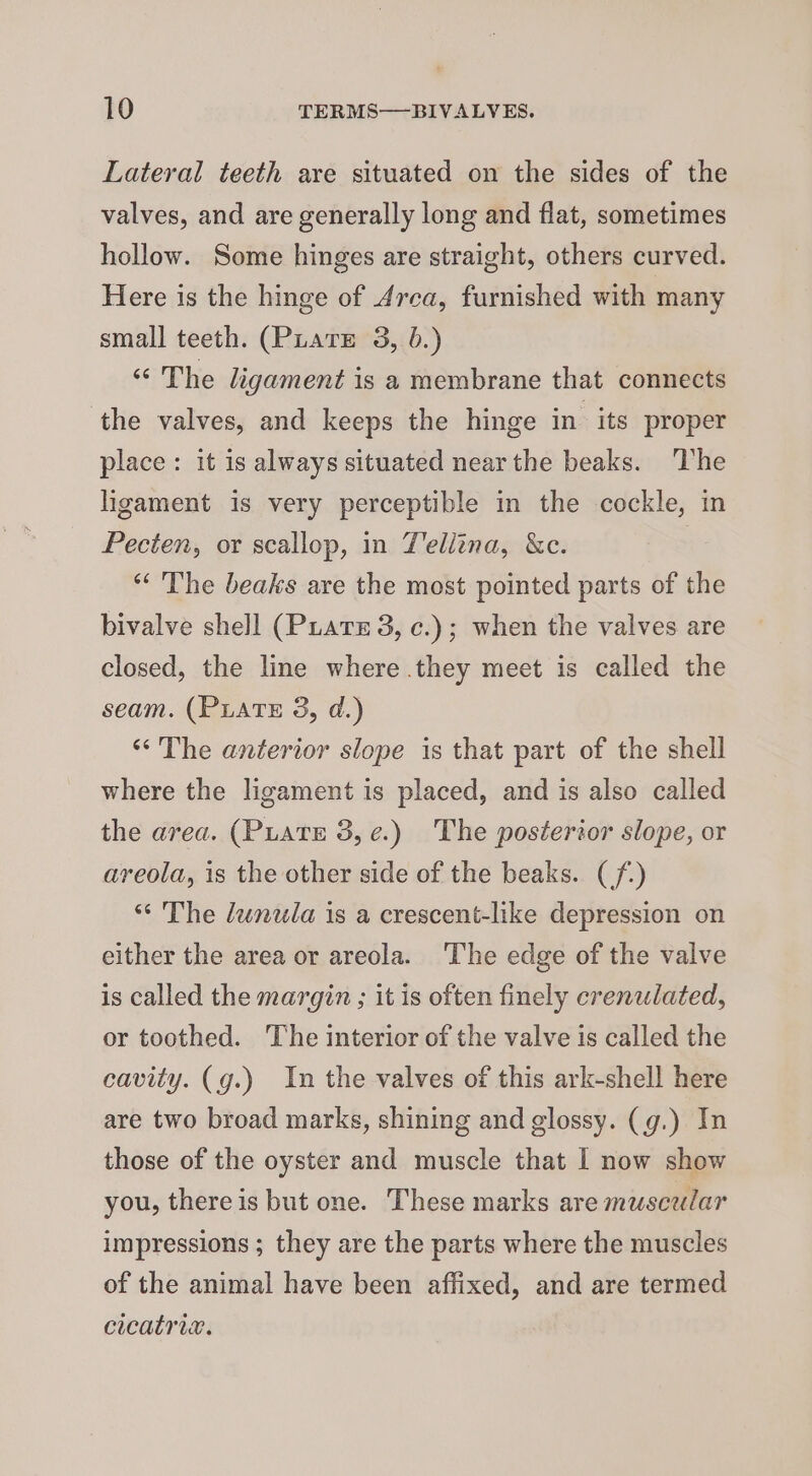 Lateral teeth are situated on the sides of the valves, and are generally long and flat, sometimes hollow. Some hinges are straight, others curved. Here is the hinge of Arca, furnished with many small teeth. (PLaTE 3, 0.) “The ligament is a membrane that connects the valves, and keeps the hinge in its proper place: it is always situated near the beaks. ‘The ligament is very perceptible in the cockle, in Pecten, or scallop, in T'ellina, &amp;c. “‘ The beaks are the most pointed parts of the bivalve shell (Prats 3, c.); when the valves are closed, the line where they meet is called the seam. (PLATE 3, d.) ‘The anterior slope is that part of the shell where the ligament is placed, and is also called the area. (PiatE 3,¢.) The posterior slope, or areola, is the other side of the beaks. (/-) “ The dunula is a crescent-like depression on either the area or areola. The edge of the valve is called the margin ; it is often finely crenulated, or toothed. The interior of the valve is called the cavity. (g.) In the valves of this ark-shell here are two broad marks, shining and glossy. (g.) In those of the oyster and muscle that I now show you, there is but one. These marks are muscular impressions ; they are the parts where the muscles of the animal have been affixed, and are termed cicatria.